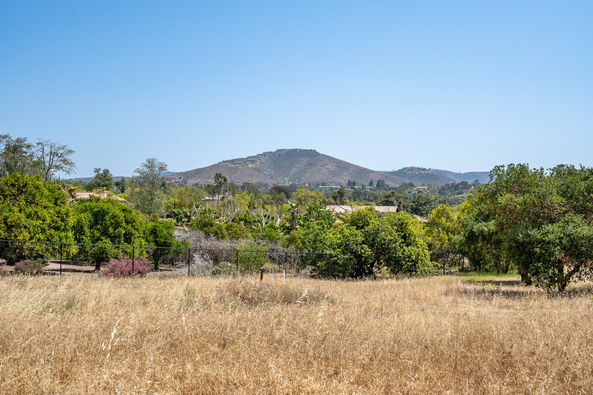 Expansive Lot in the Covenant