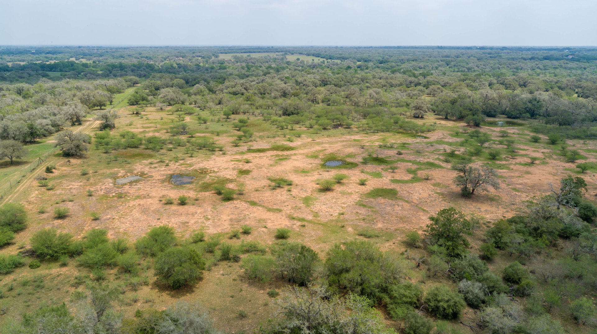 Five Mile Creek Reserve | 252.73± Acres-High Fence | DeWitt County, TX