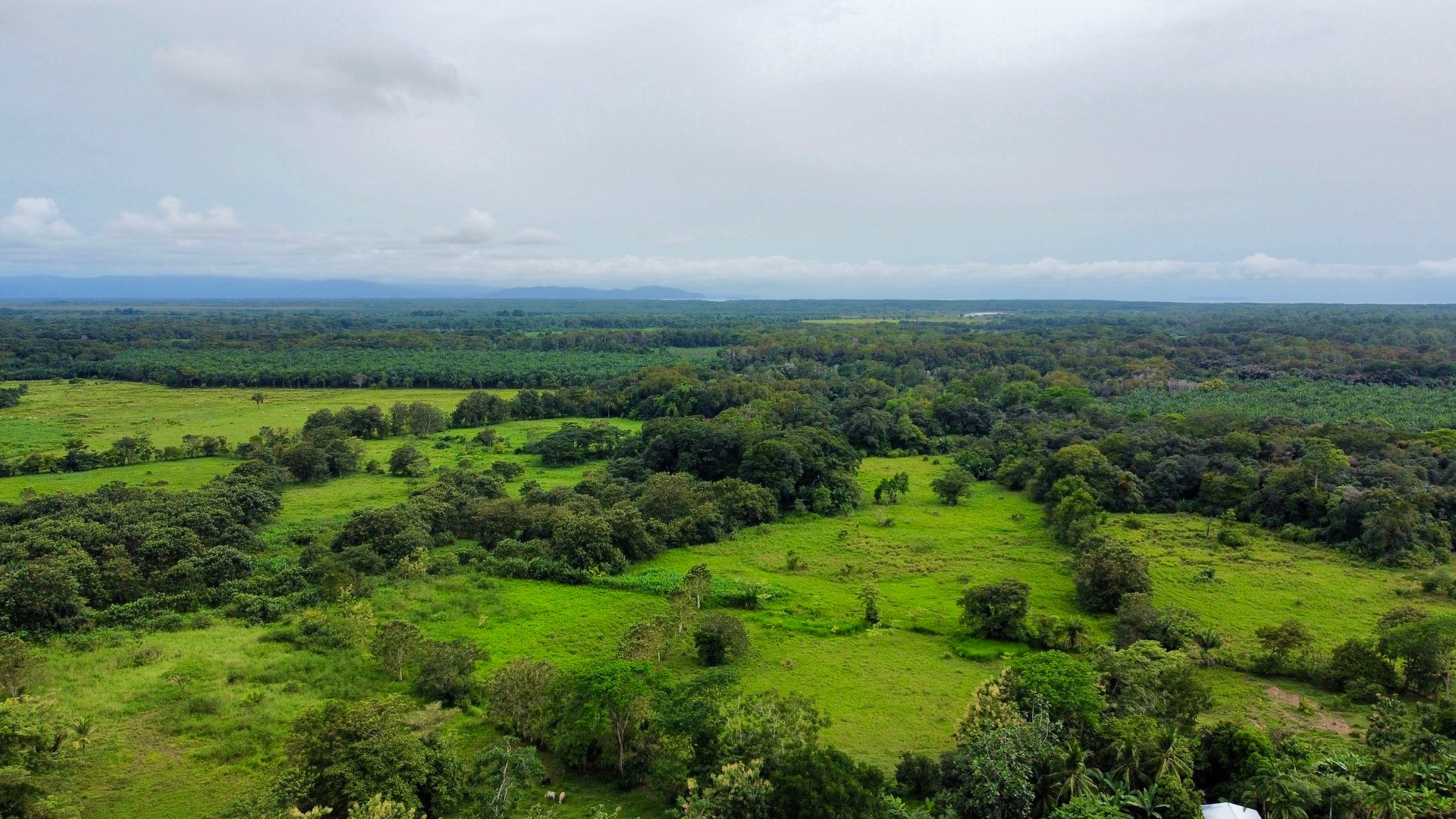 Tawal Lots for Sale – Prime Commercial & Residential Opportunity