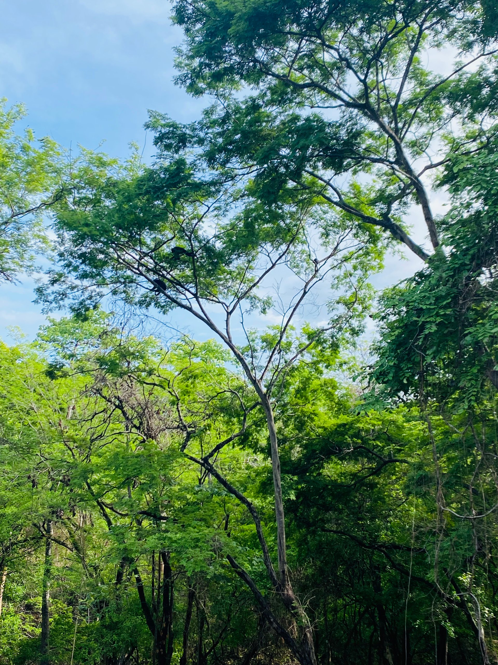 Valle Escondido