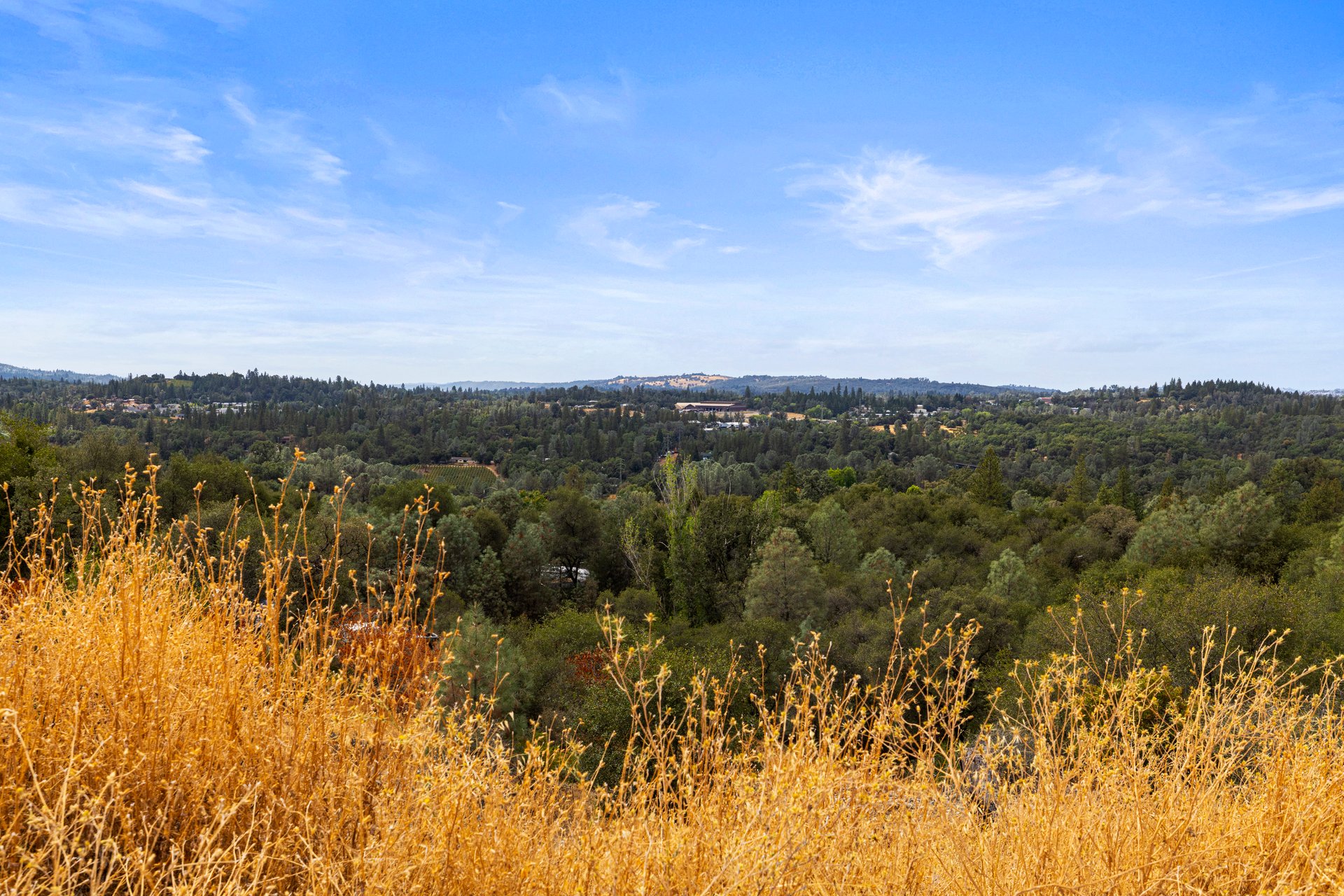 Wooded valley and distant homes beyond golden dry grasses on the Coon Hollow Road property.