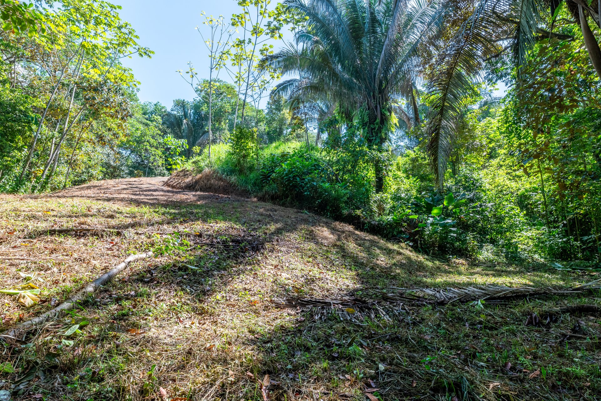 Surfers Paradise! Two Usable Lots for Building in Playa Hermosa Near Uvita!!