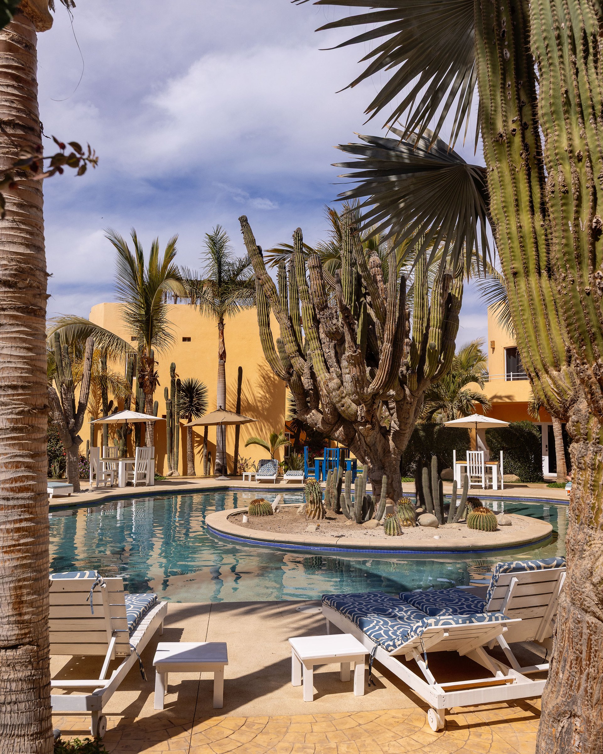 Puesta Del Sol Studio 1B