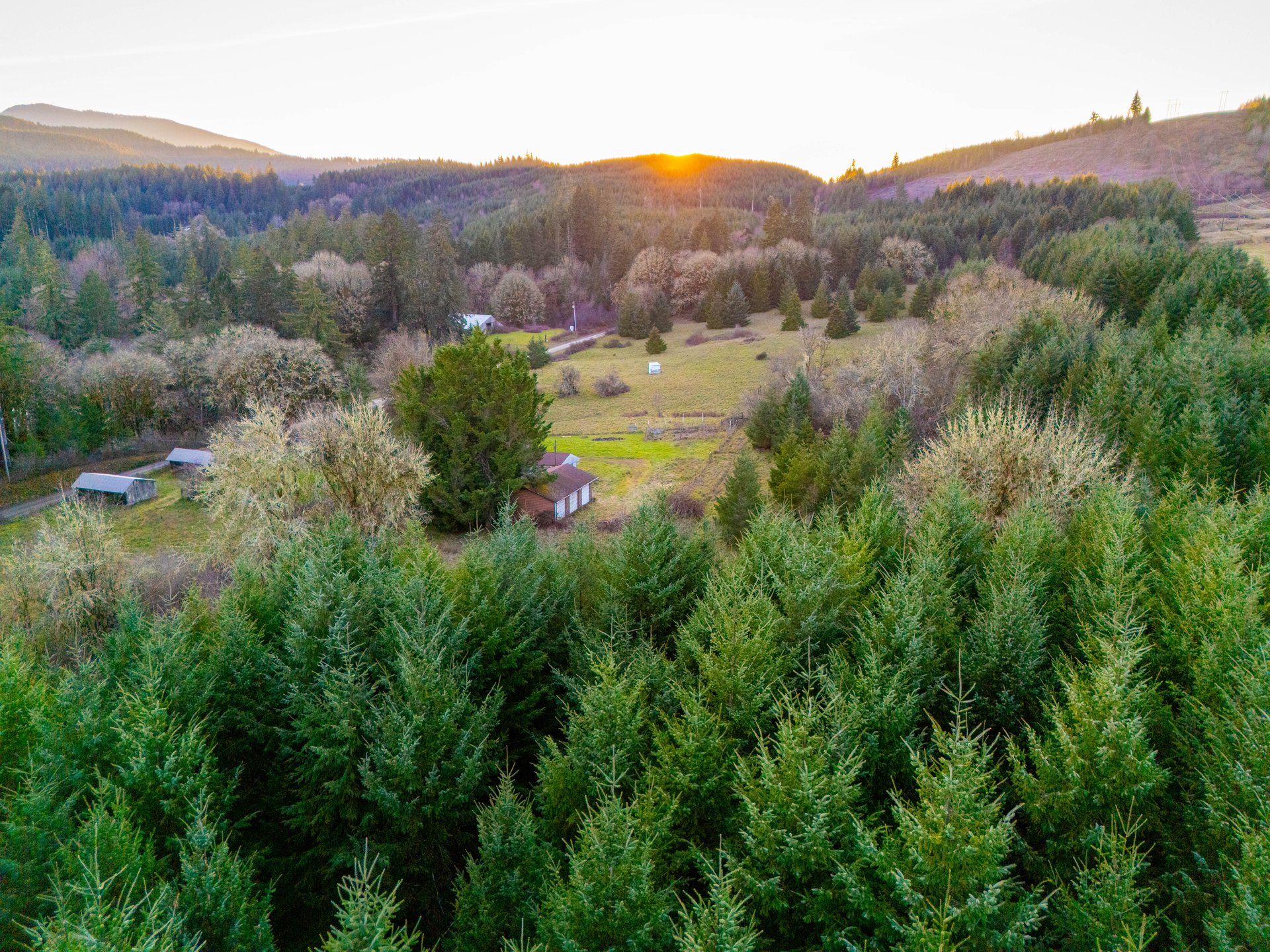 HARRIS FARM & FOREST