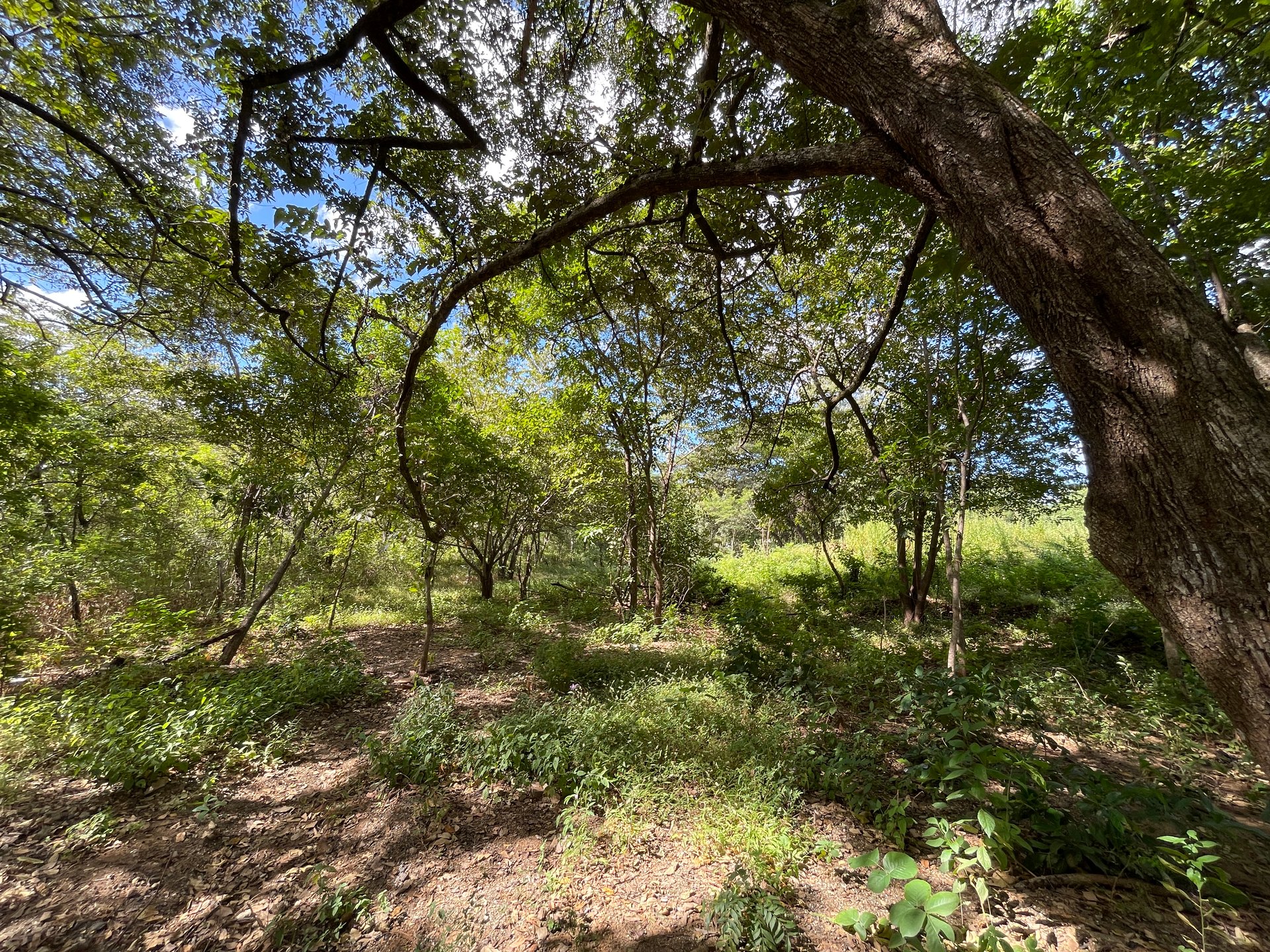 Private Jungle Estate Land in Vistas de Flamingo, Guanacaste, Costa Rica