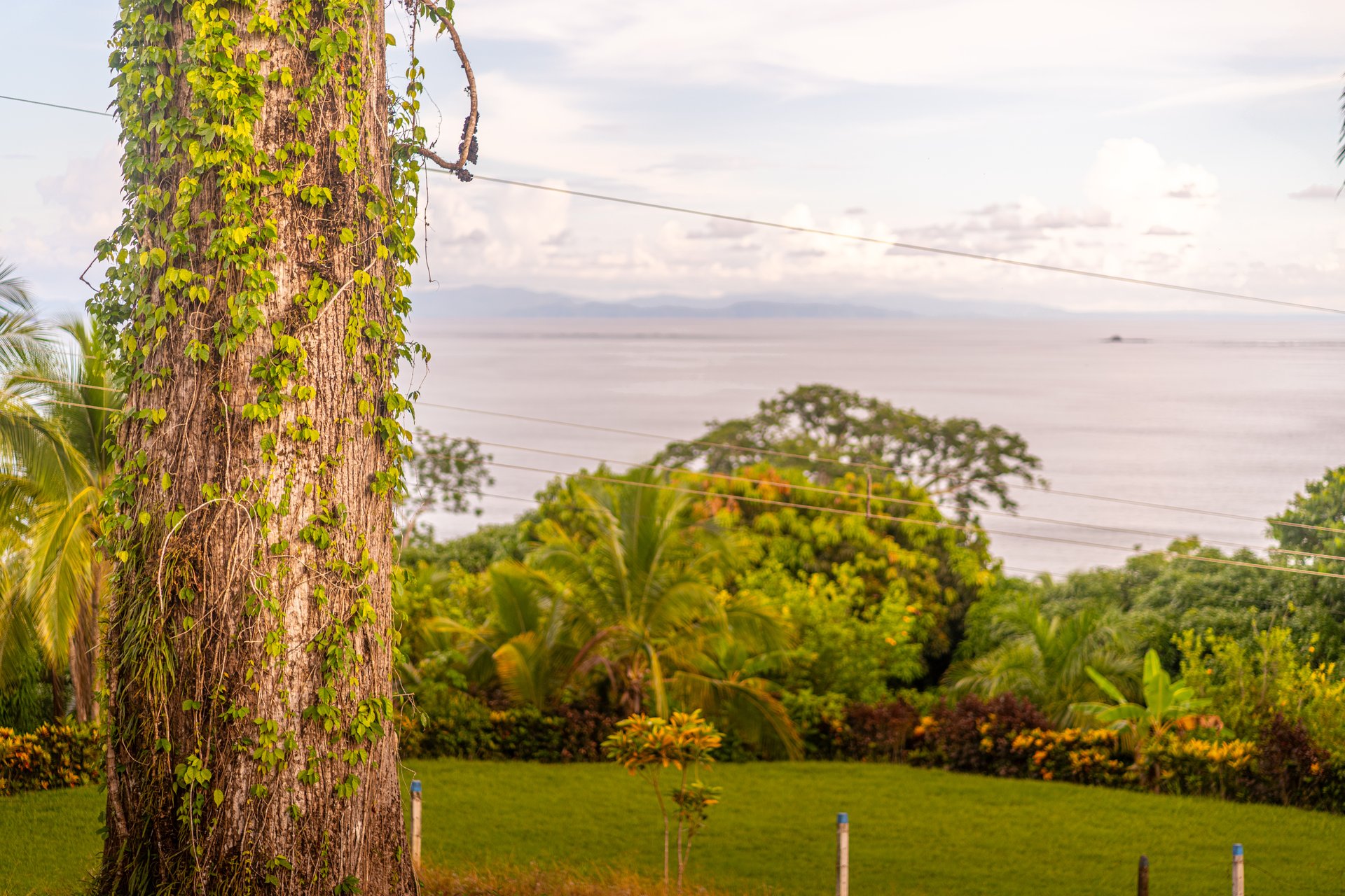 Classic Luxury at Casa Ceiba, Coastal Ocean View 4 Bedroom Home Near Uvita