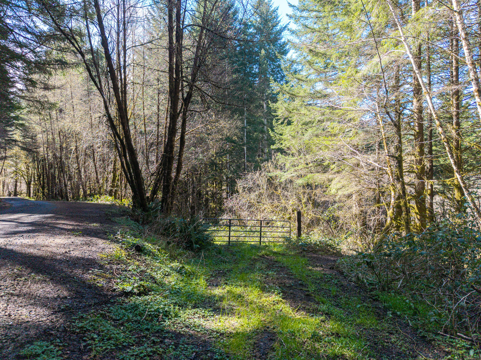 LITTLE ELK TREEFARM
