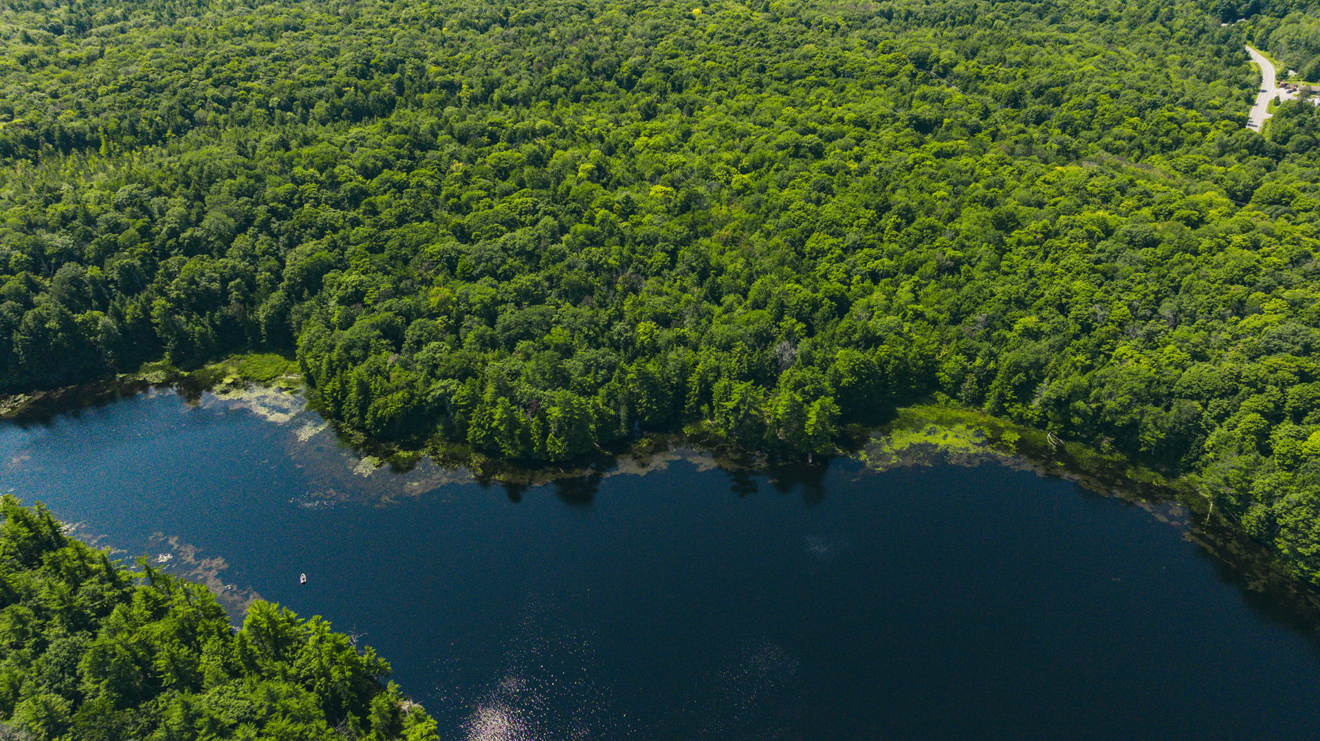 Camel Lake