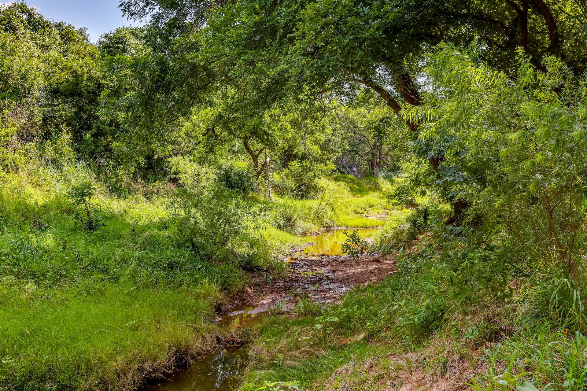 Saddle Ridge Ranch