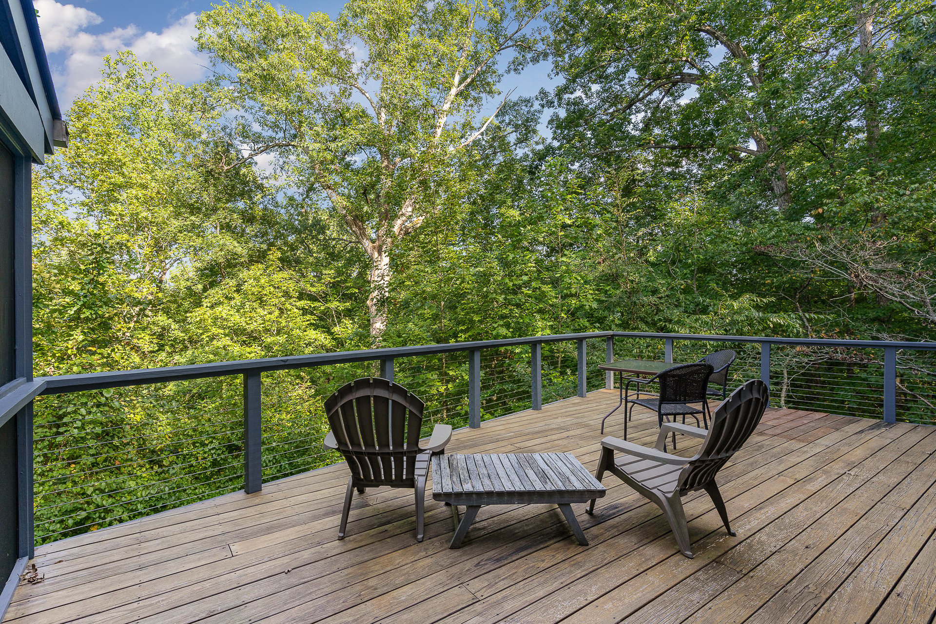 Modern, 4 Bedroom House near UNC
