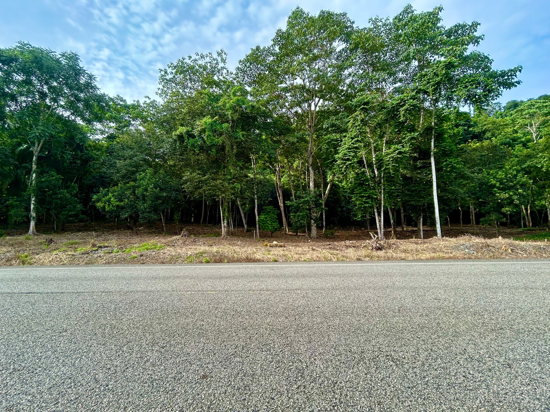 Tawal Lots for Sale – Prime Commercial & Residential Opportunity