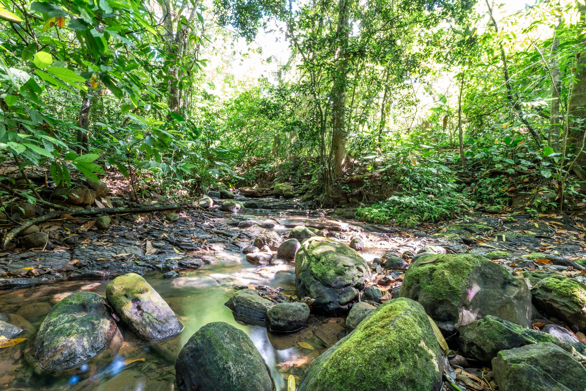 Surfers Paradise! Two Usable Lots for Building in Playa Hermosa Near Uvita!!
