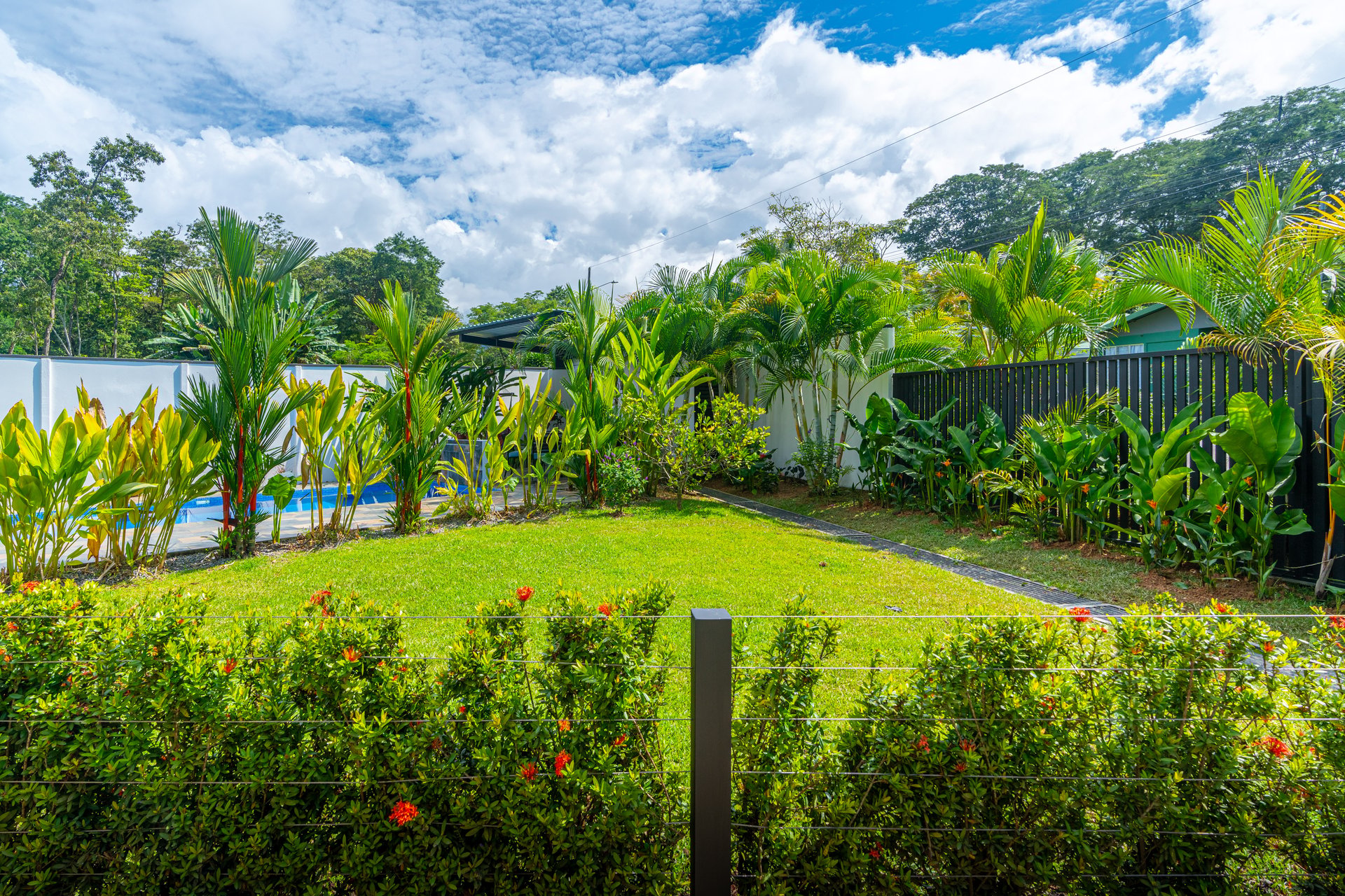 Modern 3 Bedroom Home - Walking distance to it all!