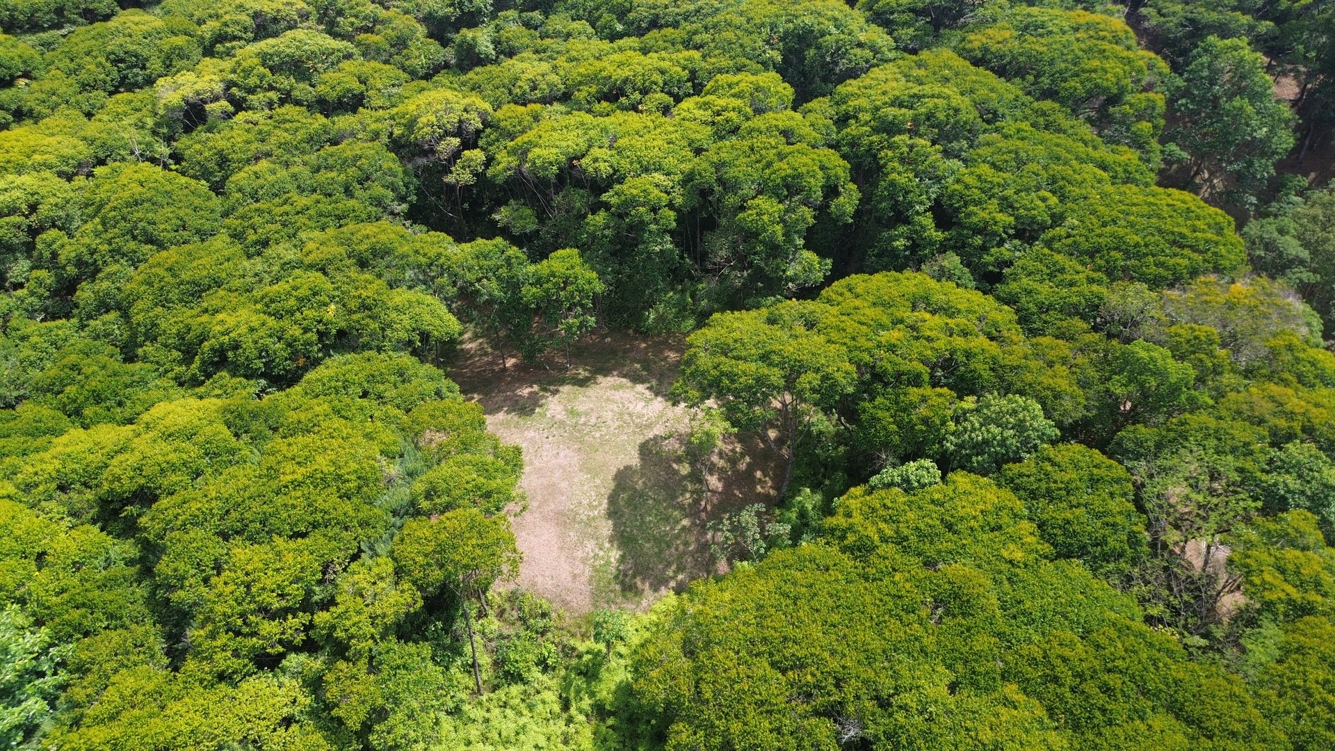 Your Private Jungle Retreat Just Minutes from Dominical