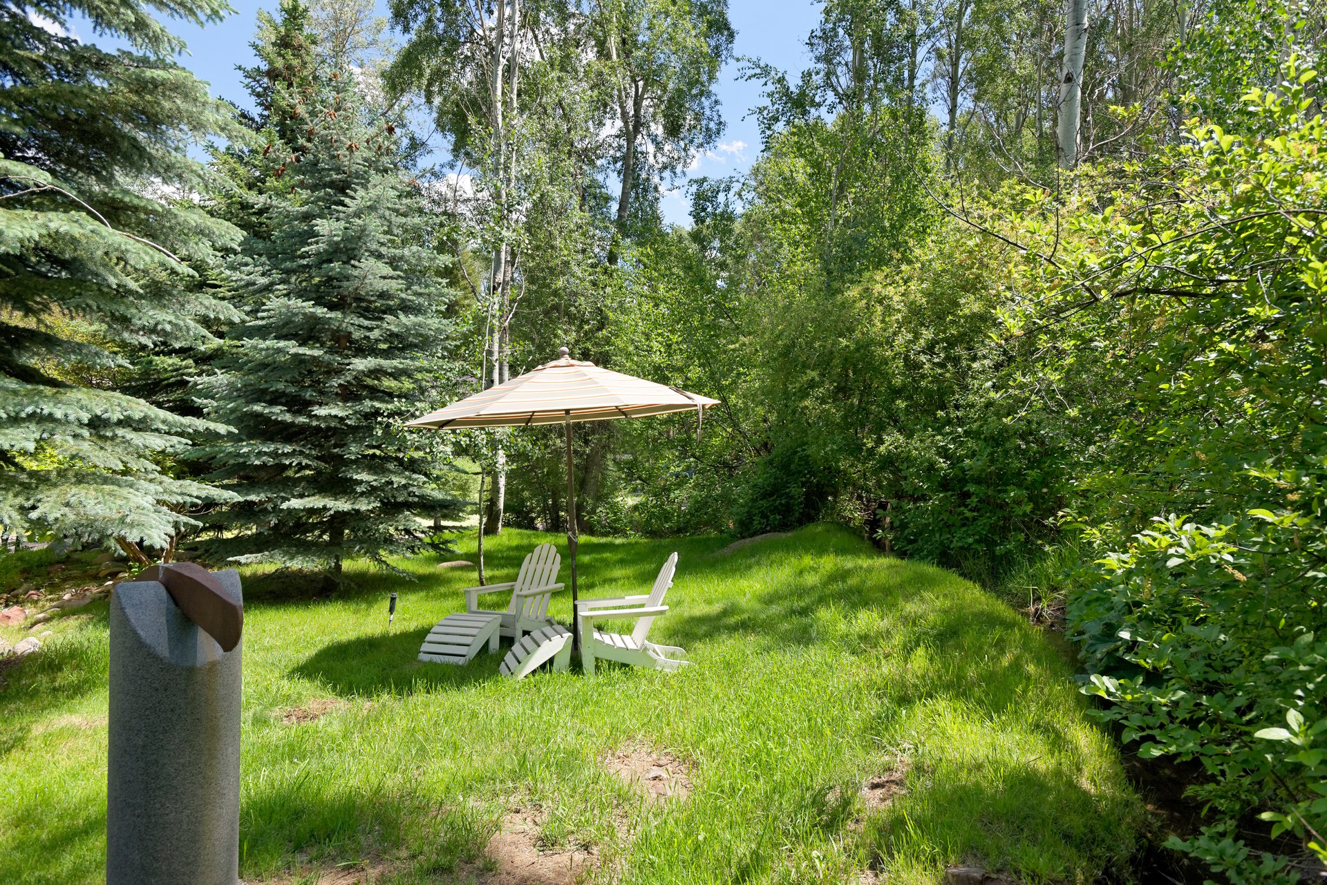 Wander Into Aspen's Hidden Oasis