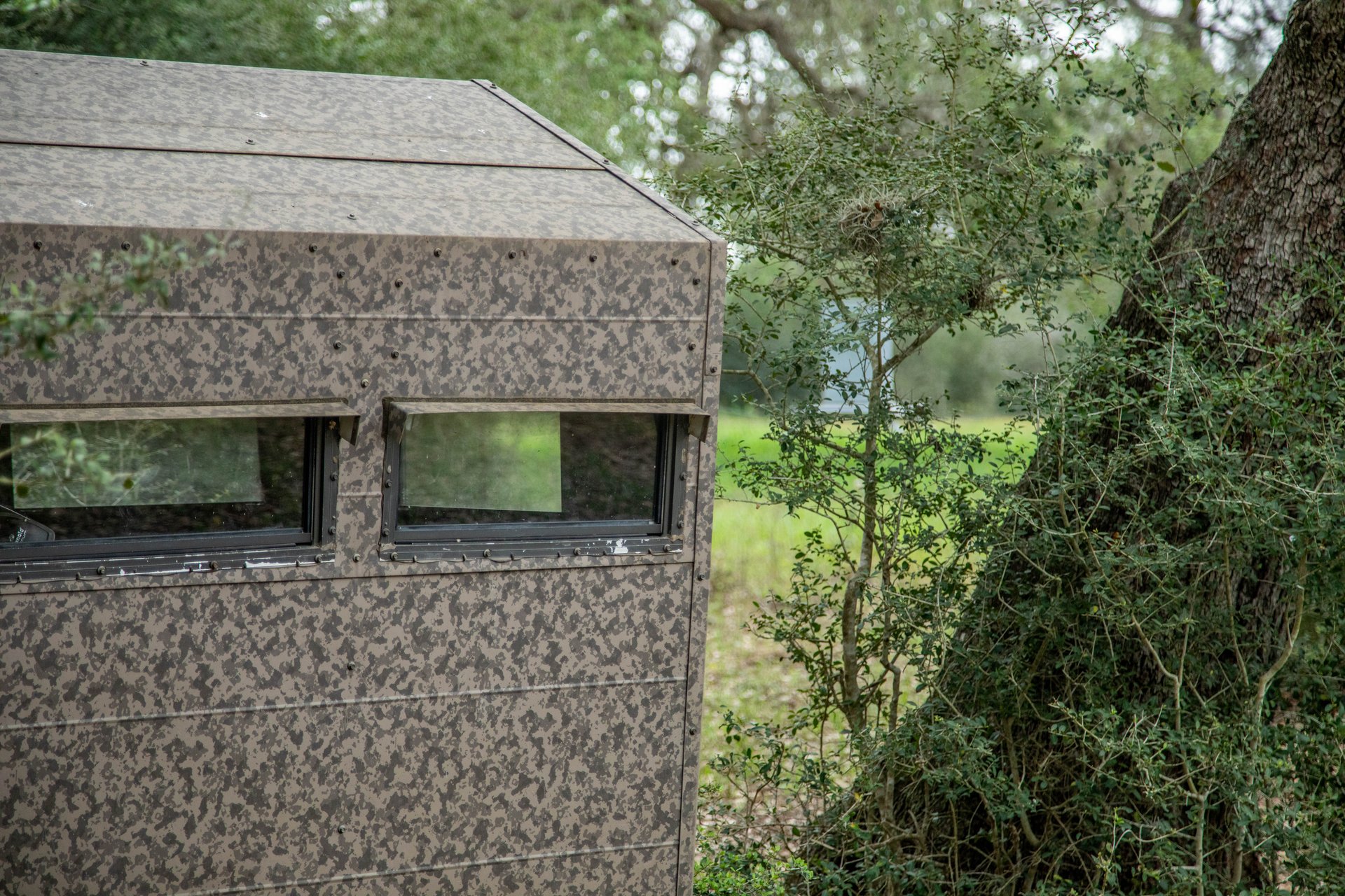 Five Mile Creek Reserve | 252.73± Acres-High Fence | DeWitt County, TX