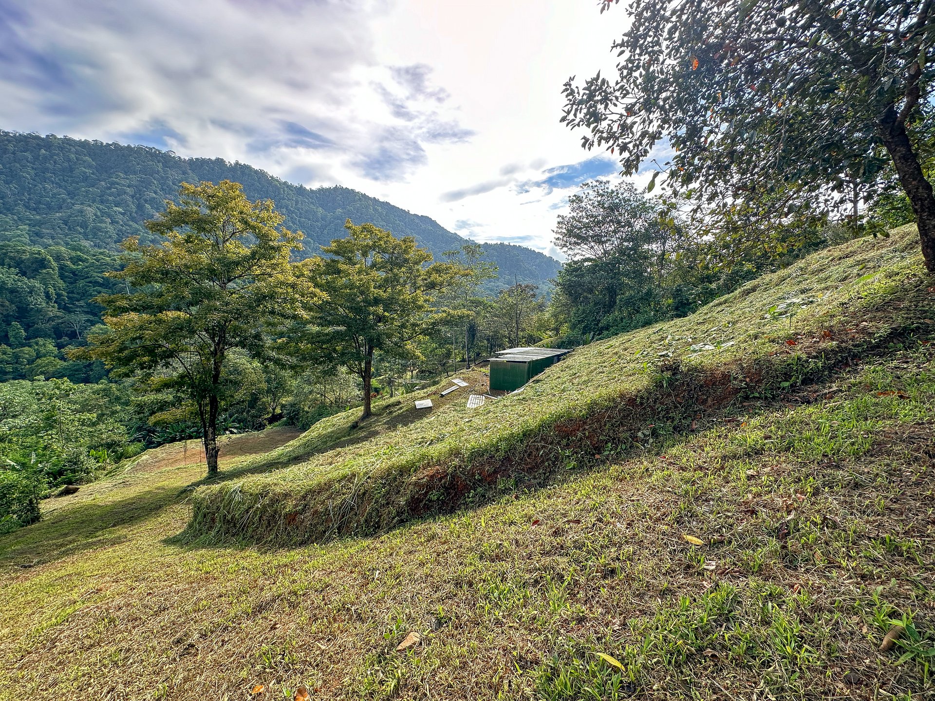 A Huge Rainforest, River & Waterfall Property With TWO Mountain & Jungle-View Luxury Homes on a Massive 4.93 Acre Lot – PLUS an Additional Plantel ready for Development