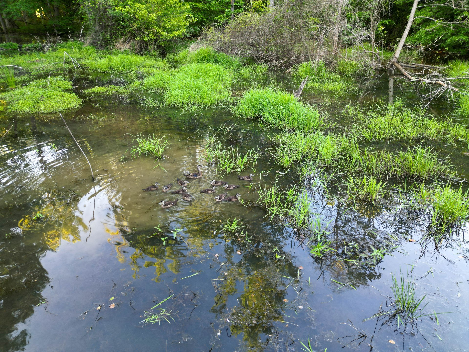 The Ranches at Sandy Creek