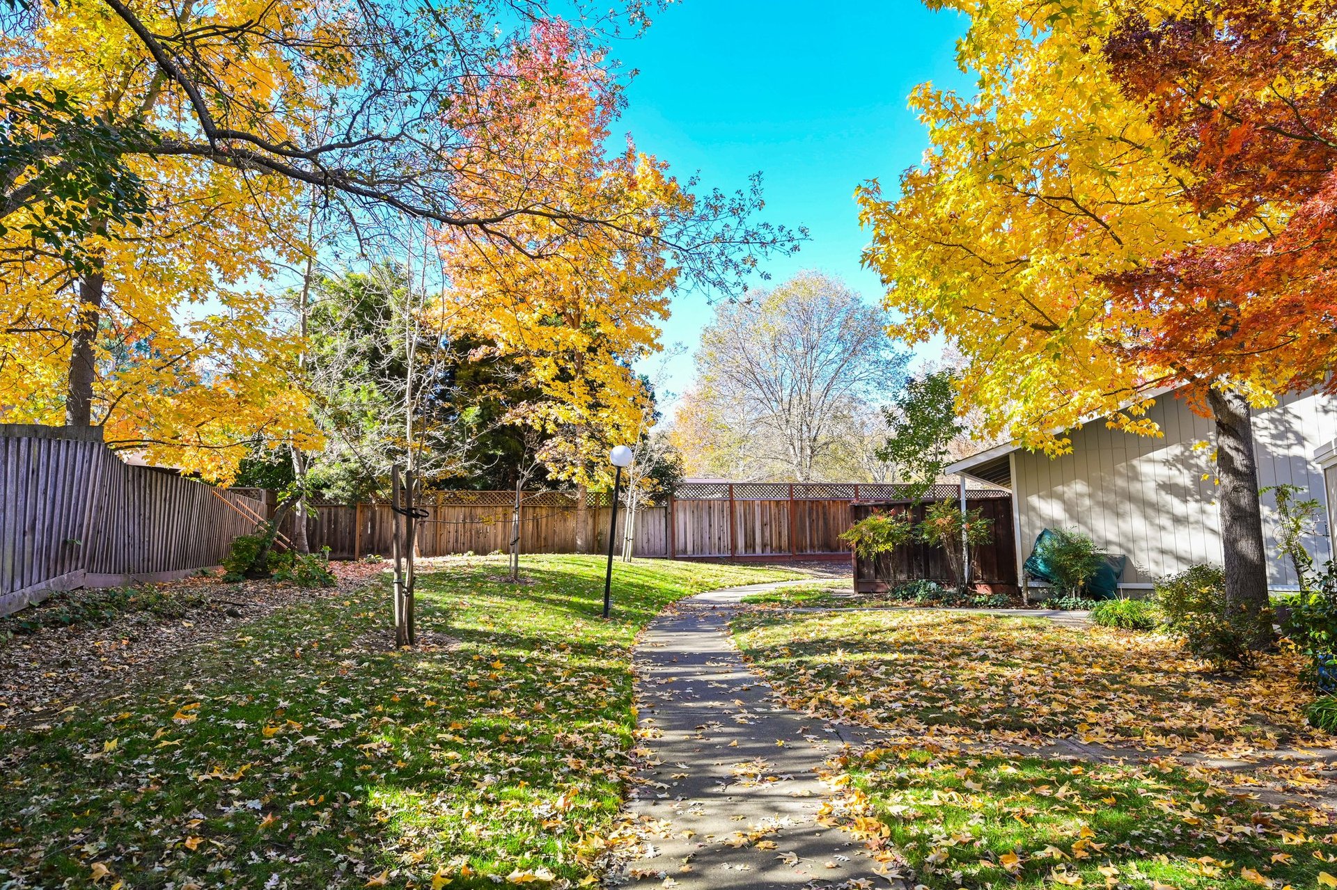 1157 San Ramon Valley Blvd., Danville