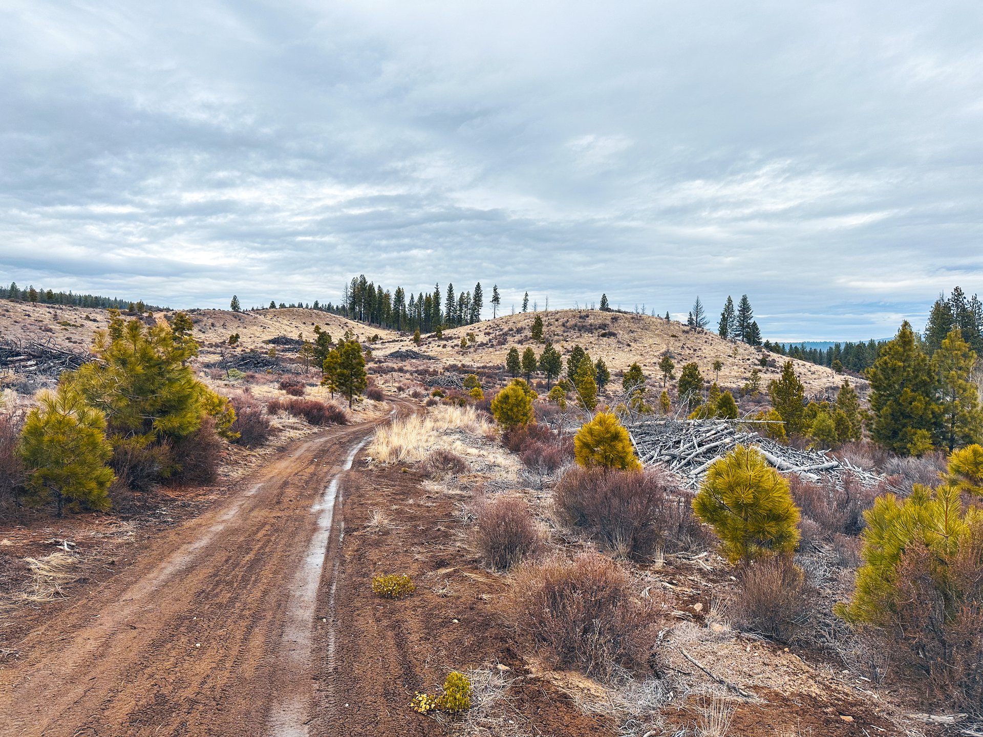 Klamath Basin