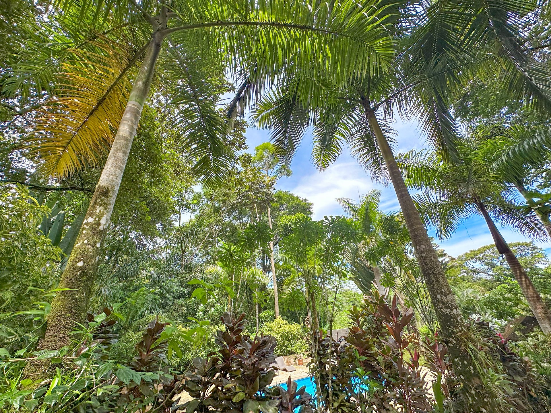 Ojochal Property for Sale – Cabins, Restaurant & 3-Bed Home