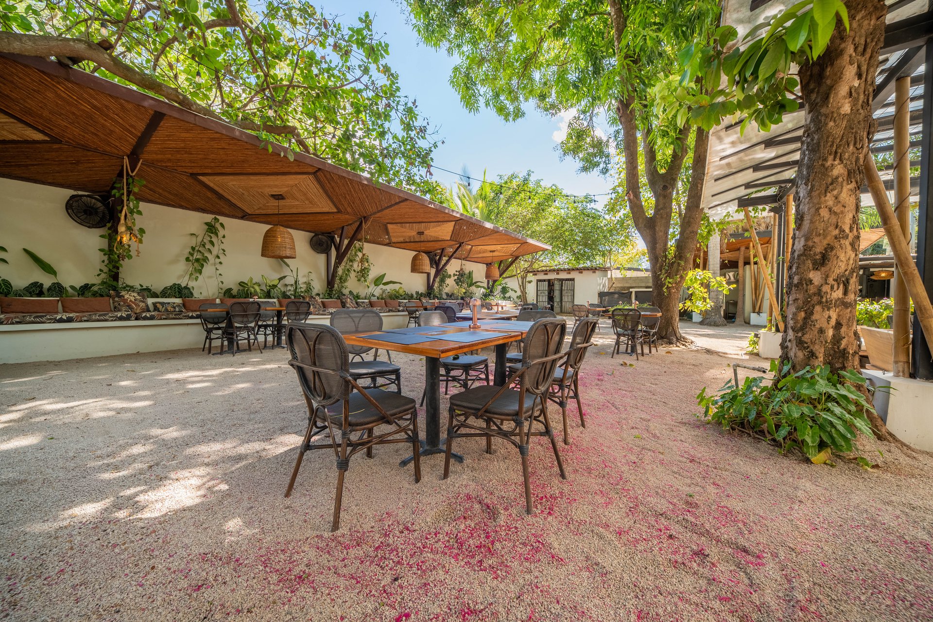 Hotel Curiol | Turnkey Boutique Jungle Hotel with Restaurant & Bar in Potrero