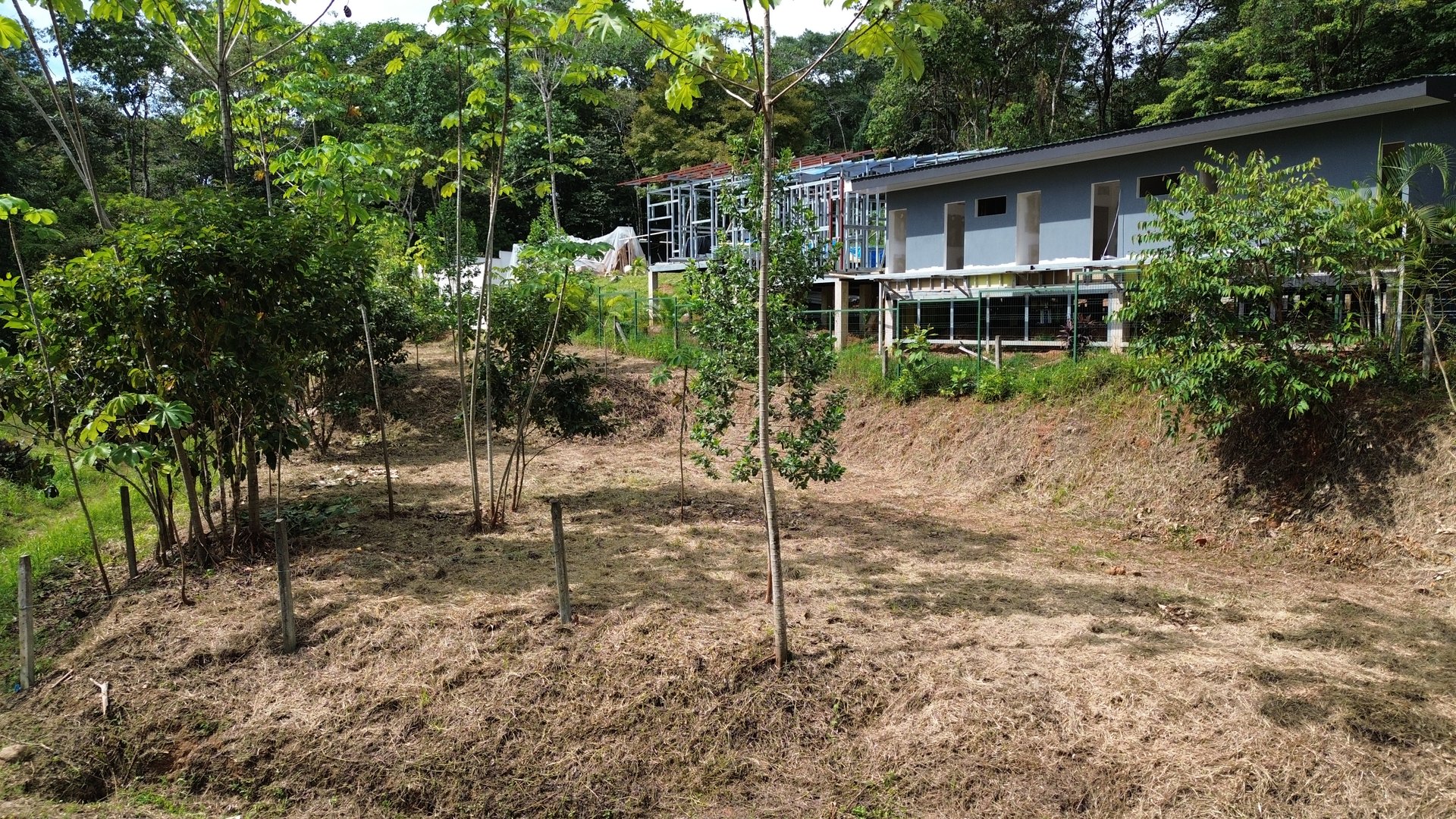 Affordable Uvita Lot UNDER $200-per-sqm - Perfect for Your Dream Home or Airbnb Investment