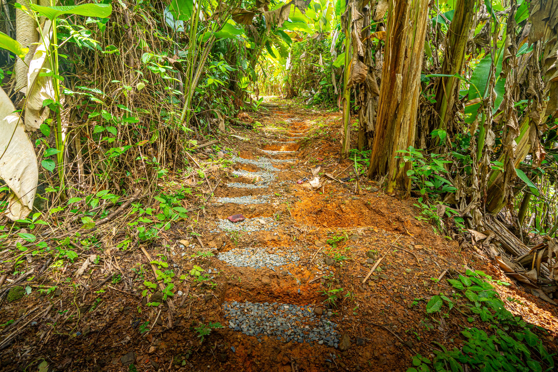 Amazing Mountain View and Ocean View House and Guest House on 4.5 Acres of land in Ojochal