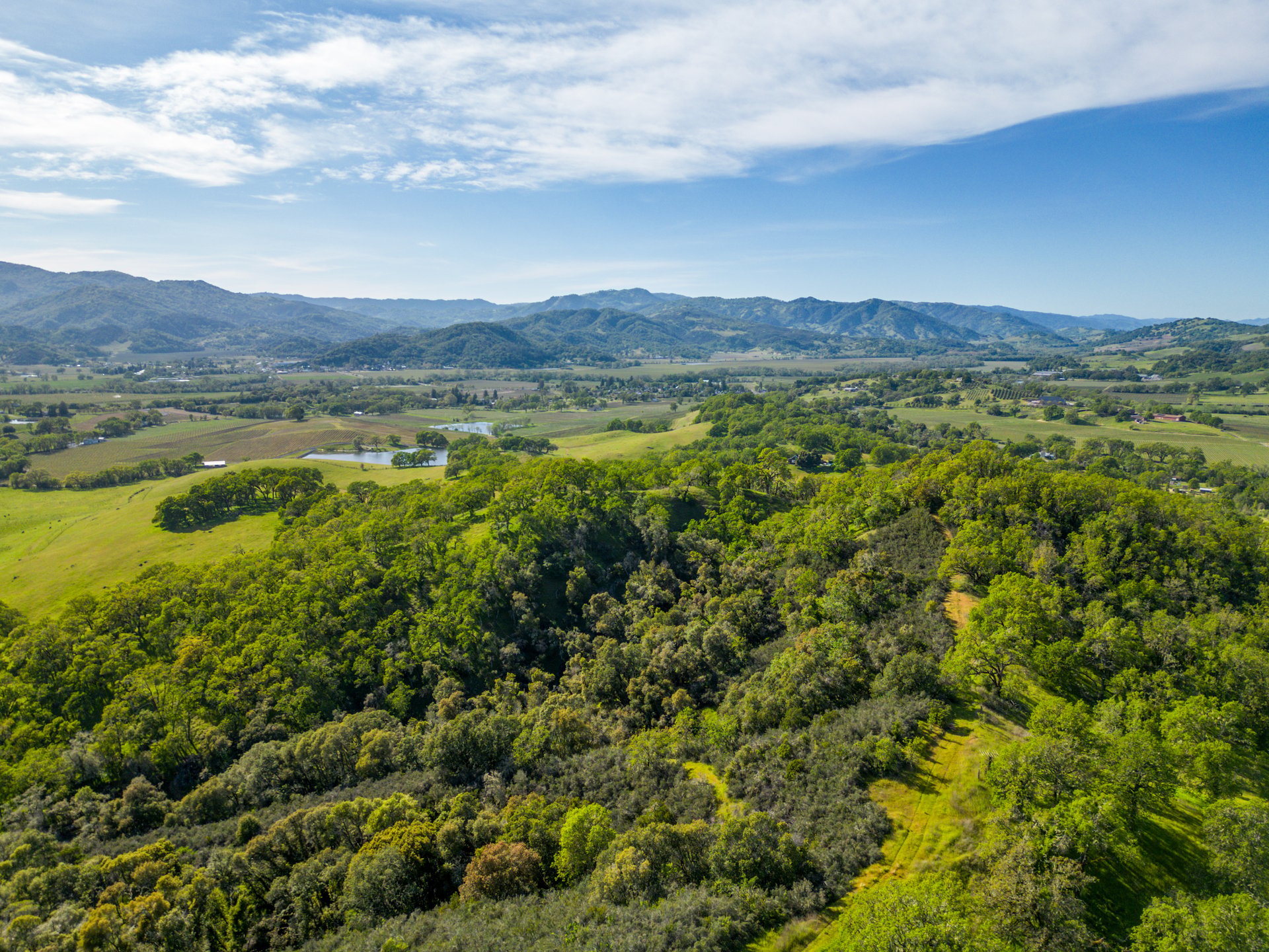 The Hopland Hills Ranch