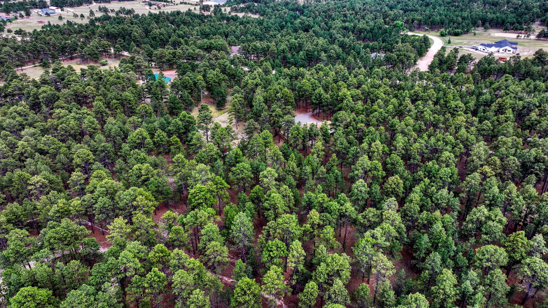 9950 Pine Park Trail