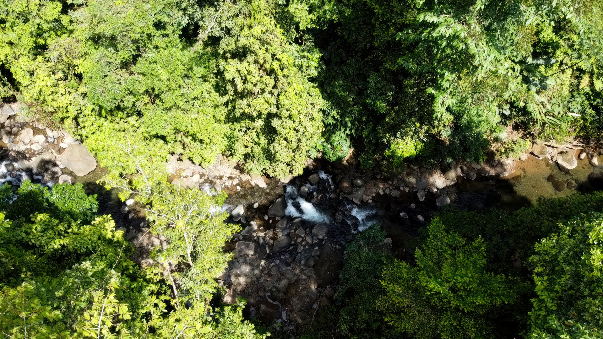 61 Acres of Pure Nature for Off-Grid Living & Conservation | Quepos