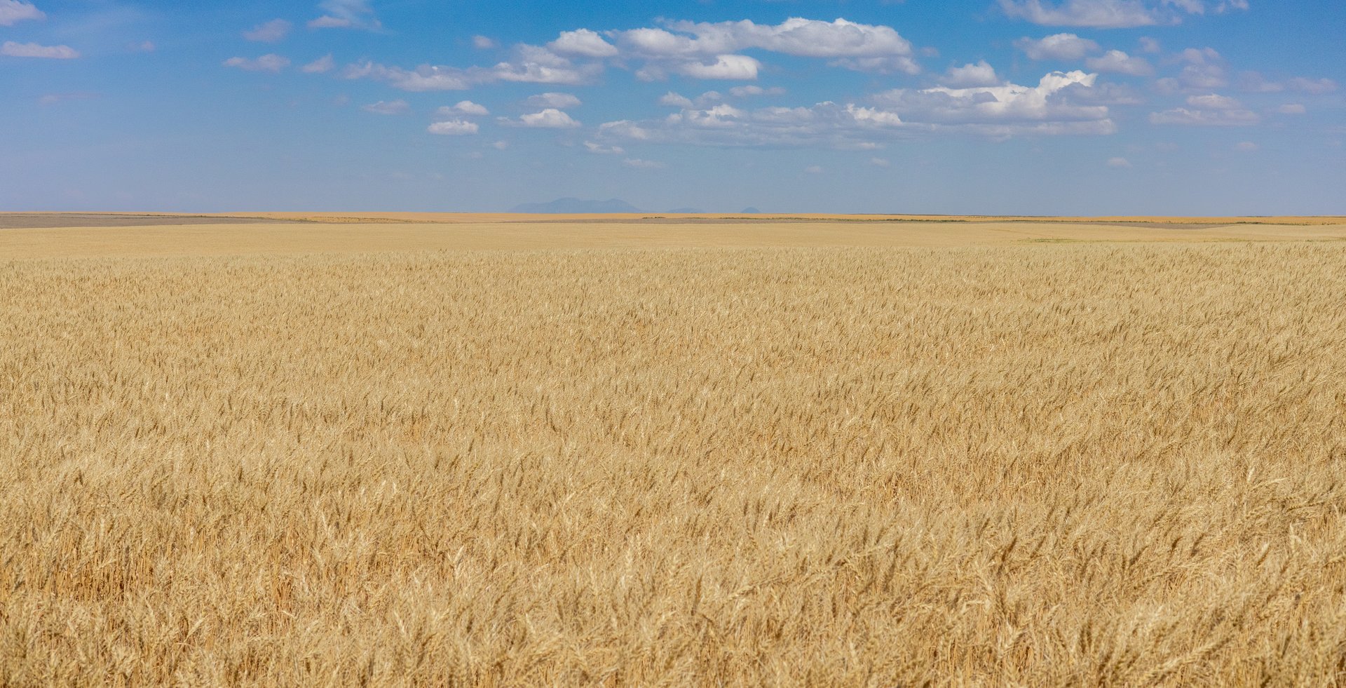 Hill County Organic & CRP Farm