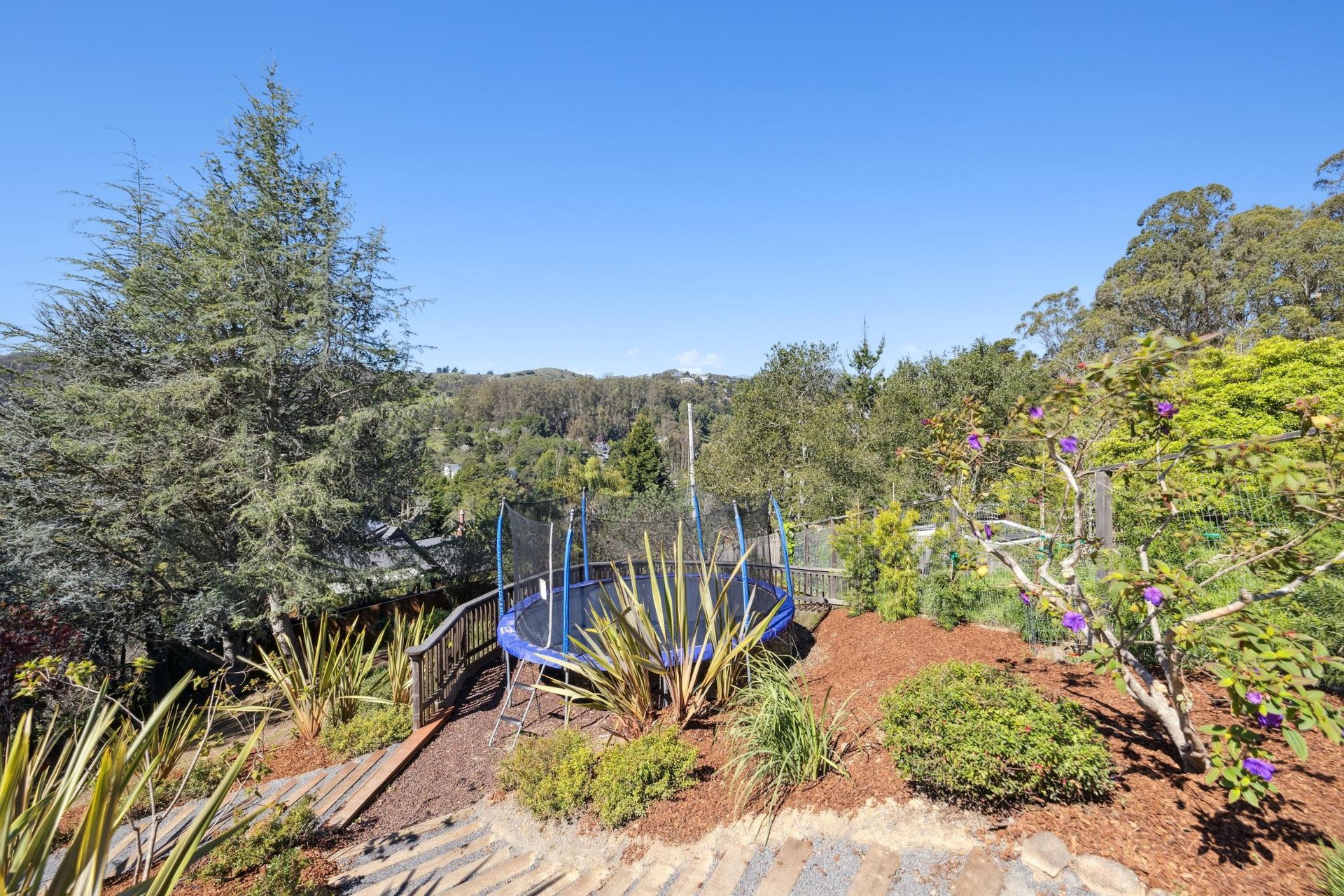 Custom-Built Mill Valley Masterpiece with Stunning Views