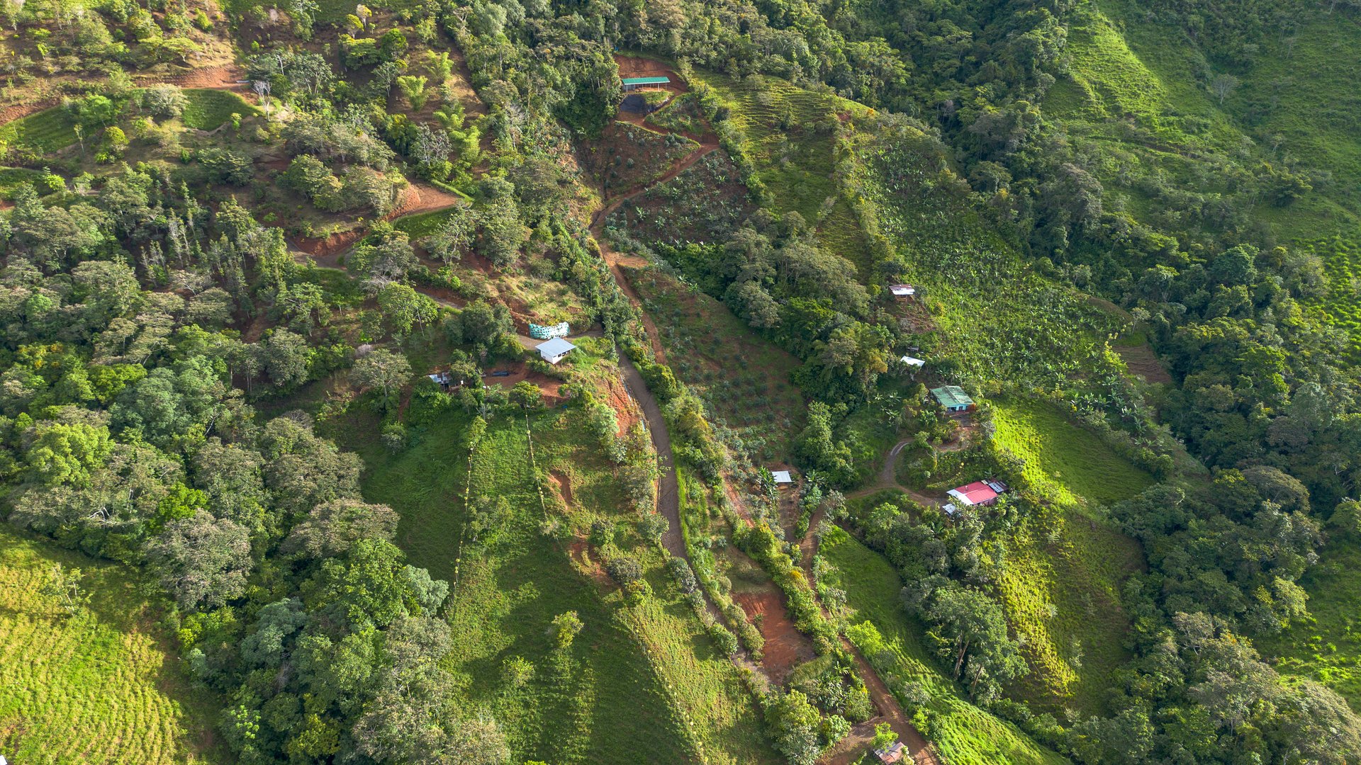 10.21 Acres with Views & Plantels – Pérez Zeledón