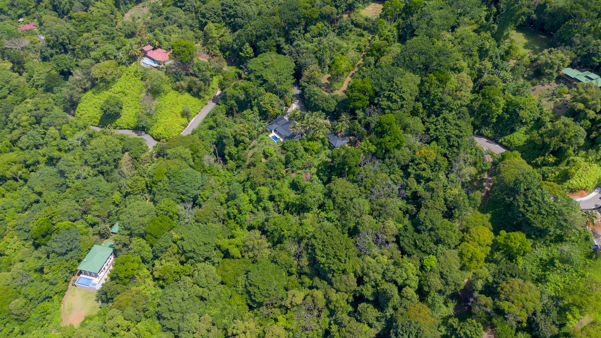 6.45 ACRES – 3 Bedroom Luxury Ocean View Home Surrounded By Vibrant Rainforest And Wildlife!!!