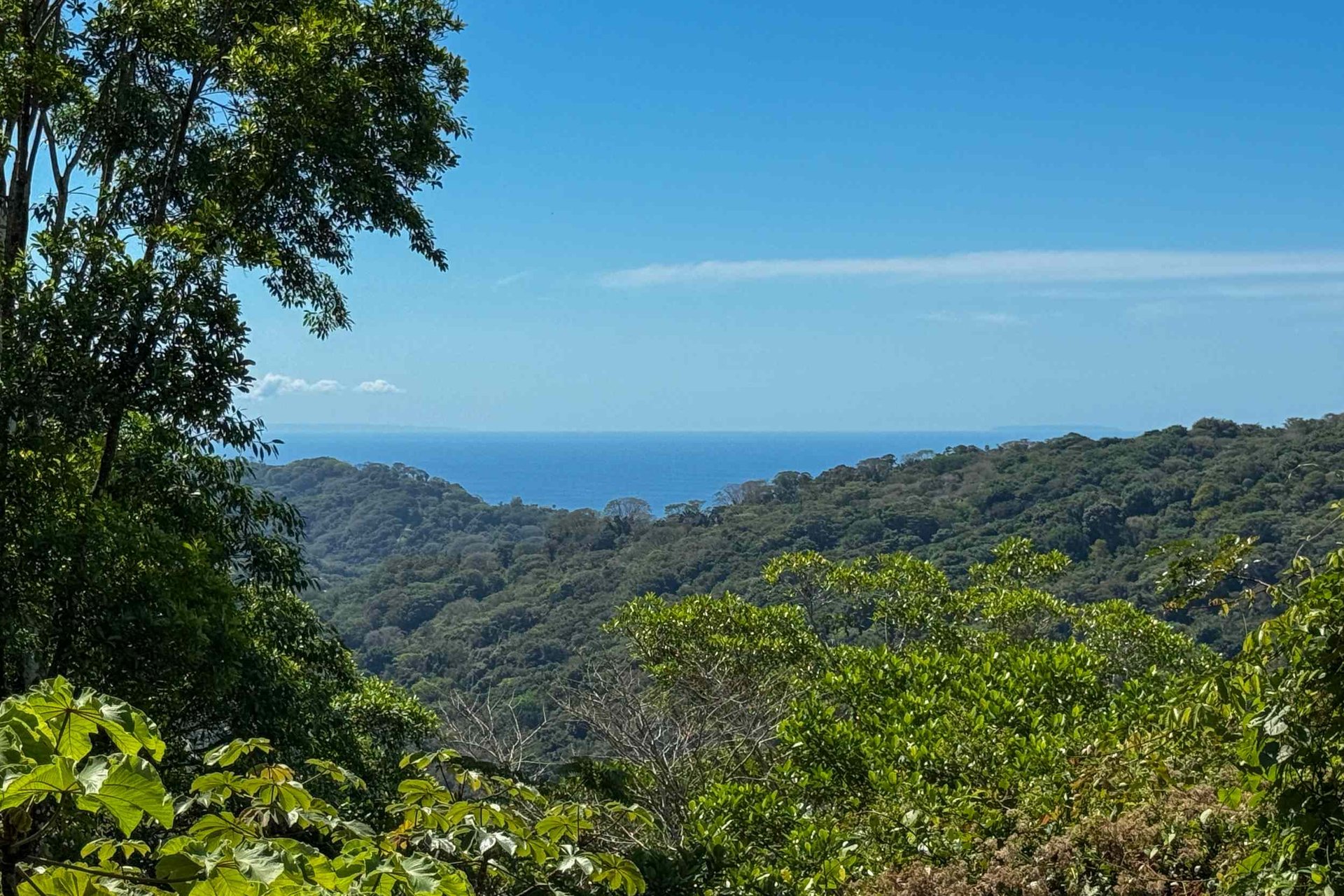 Totally Remodeled Coastal Jungle 2-Bedroom Sanctuary Home with Valley & Ocean Views in Lagunas above Dominical Costa Rica