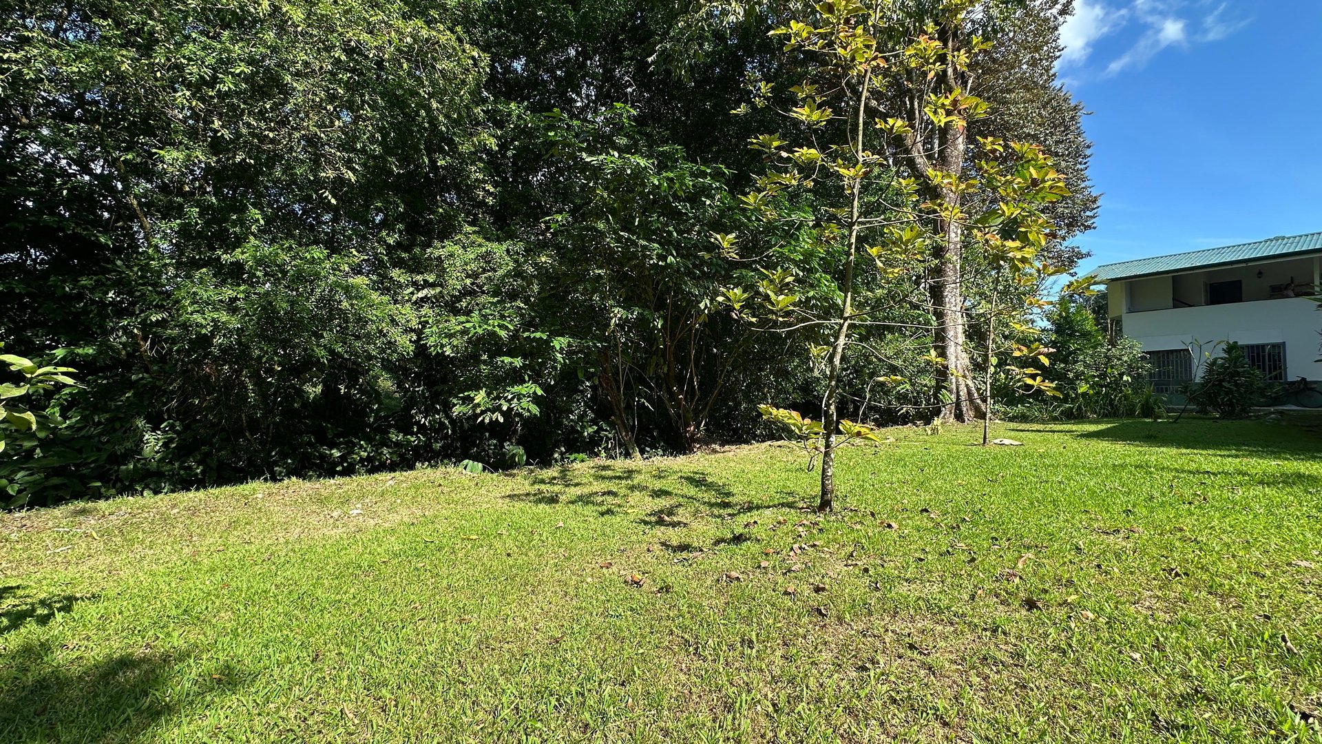 Breeze, Trees, and Monkeys - Your Affordable Costa Rican Haven