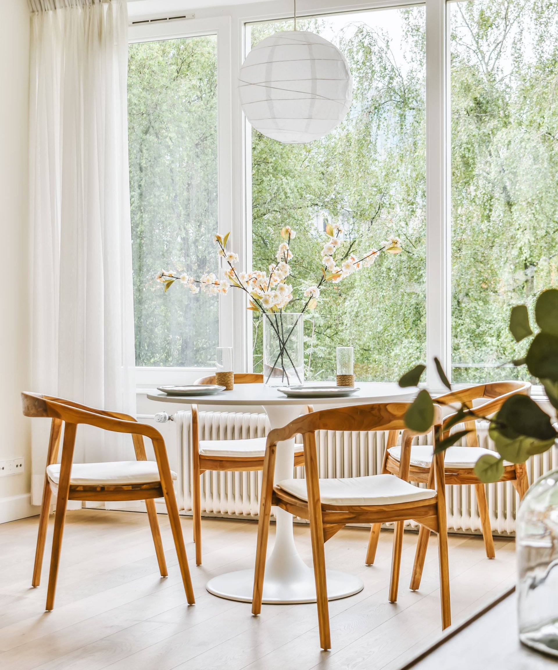 Donna DeRosa Realtor