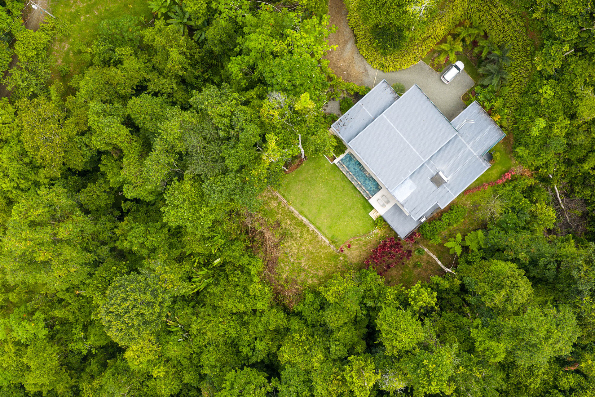 The Ocean View Sanctuary at Casa Delphines