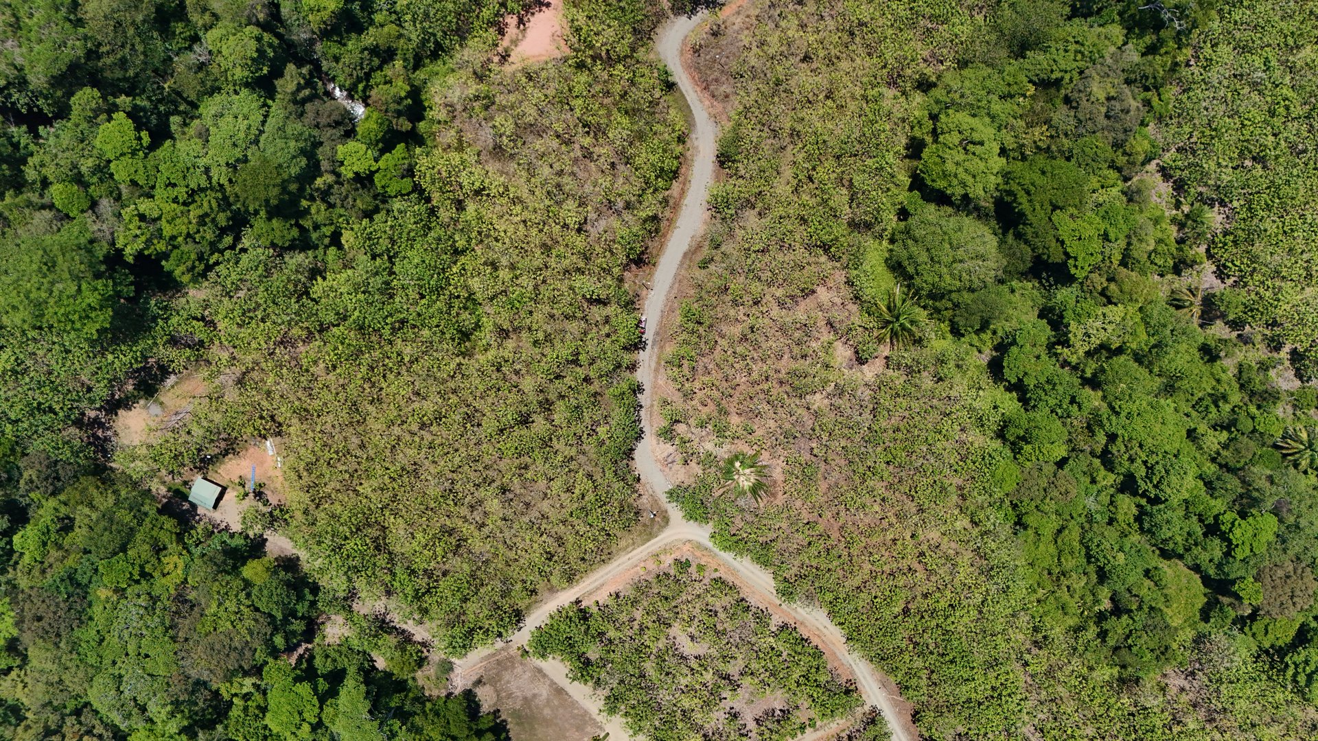 Prime 1.24-Acre Land in Matapalo / San Andrés – Ready to Build