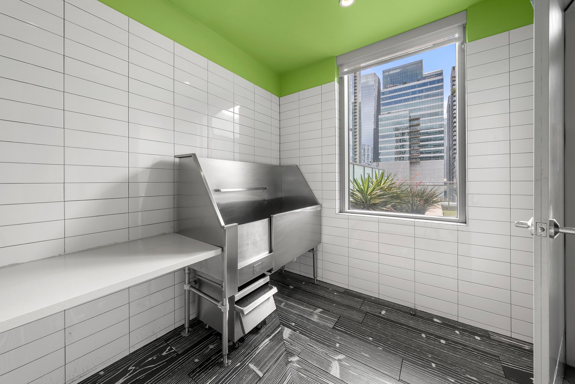 222 West Avenue #2802