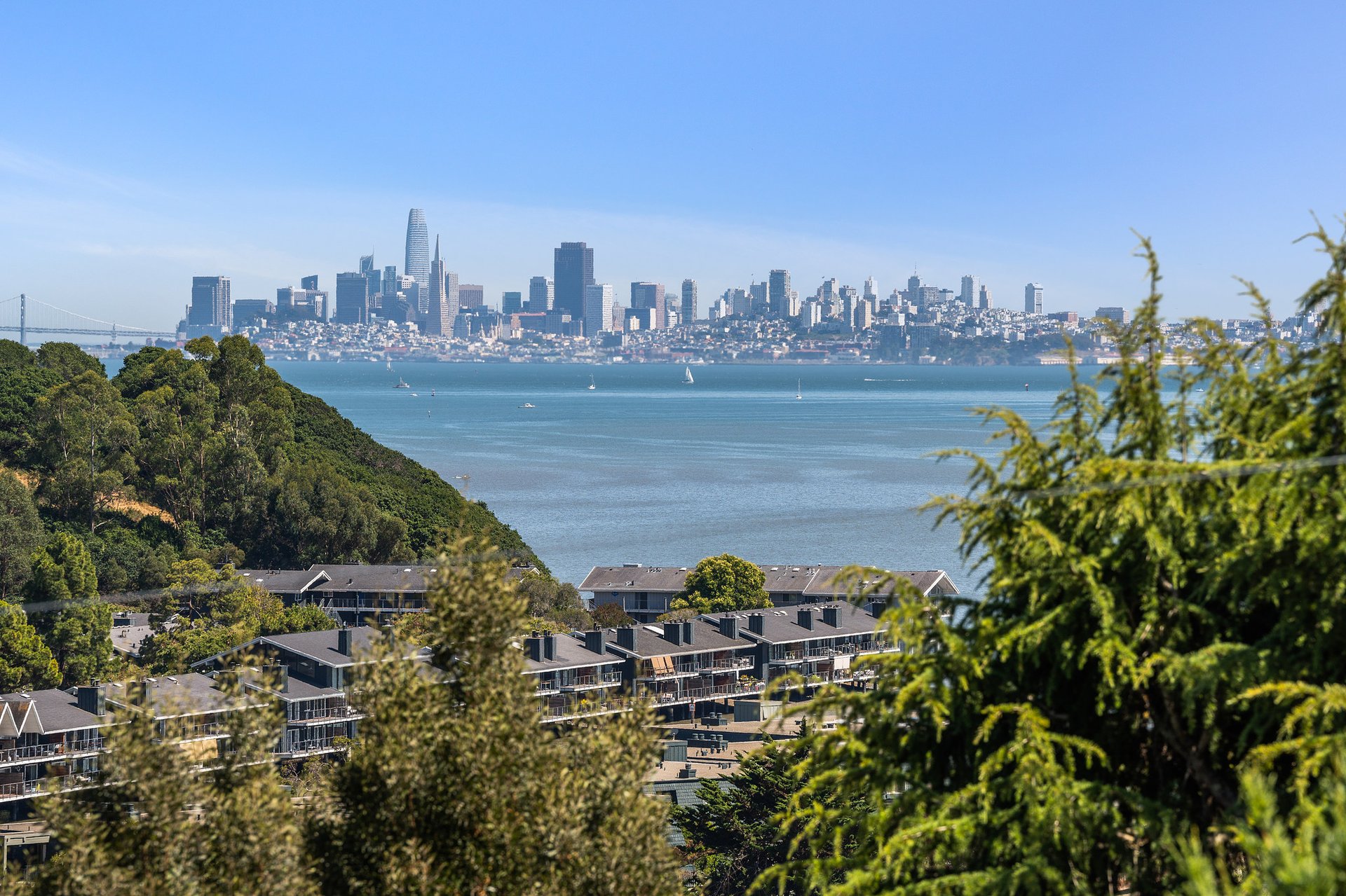 Stunning Views of San Francisco and the Bay