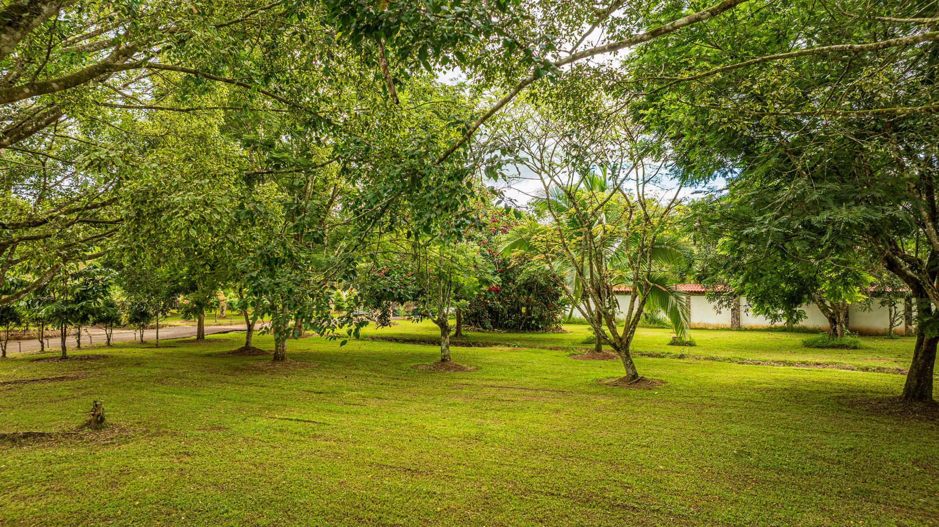 Private Tropical Estate with Pool & Fruit Gardens In San Isidro