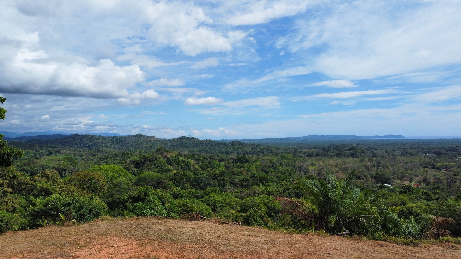 Breathtaking Ocean-View Estate: Over 1 Hectare of Serenity and Sunset Magic