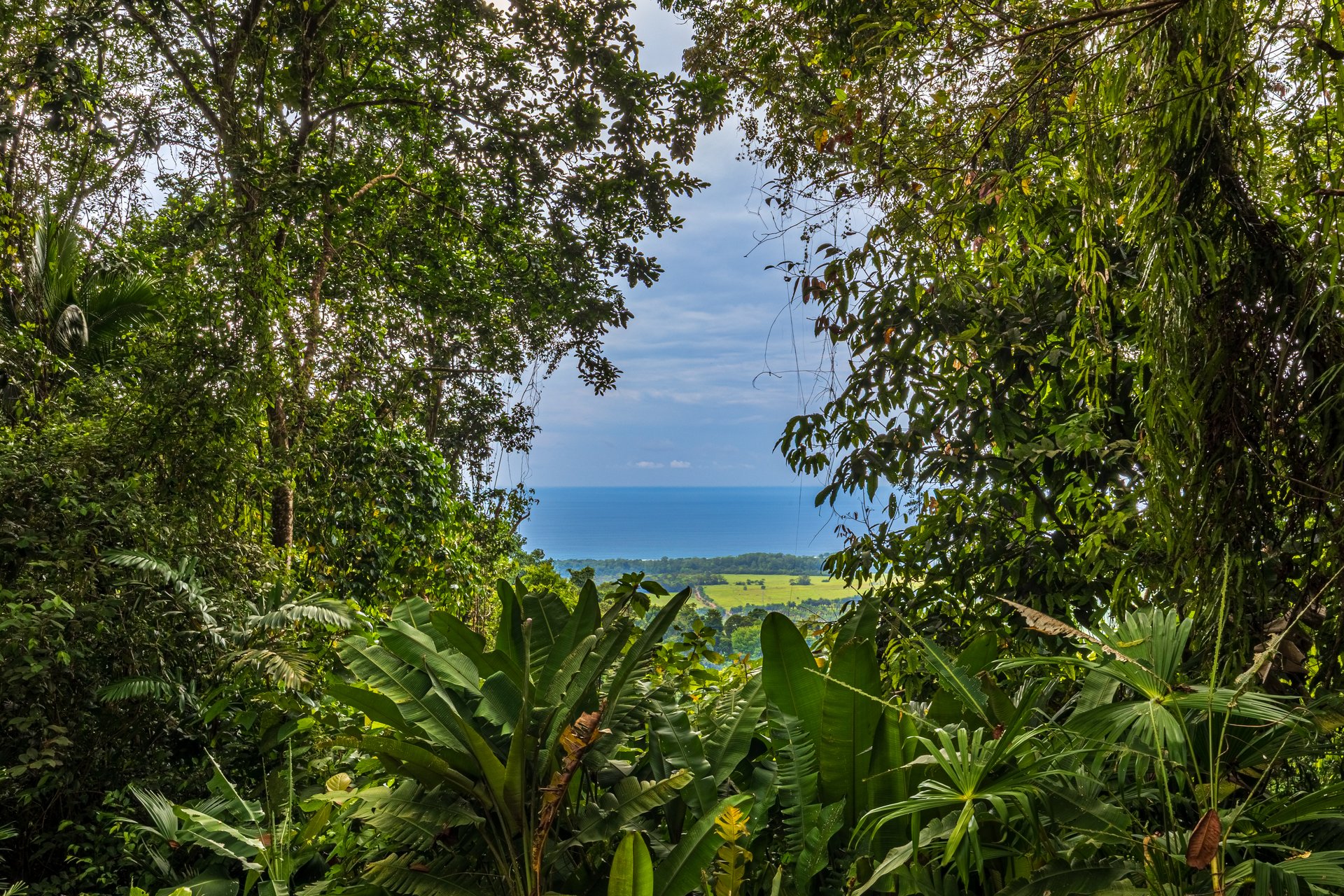 A Unique Ocean View Estate Designed for Visionary Investors