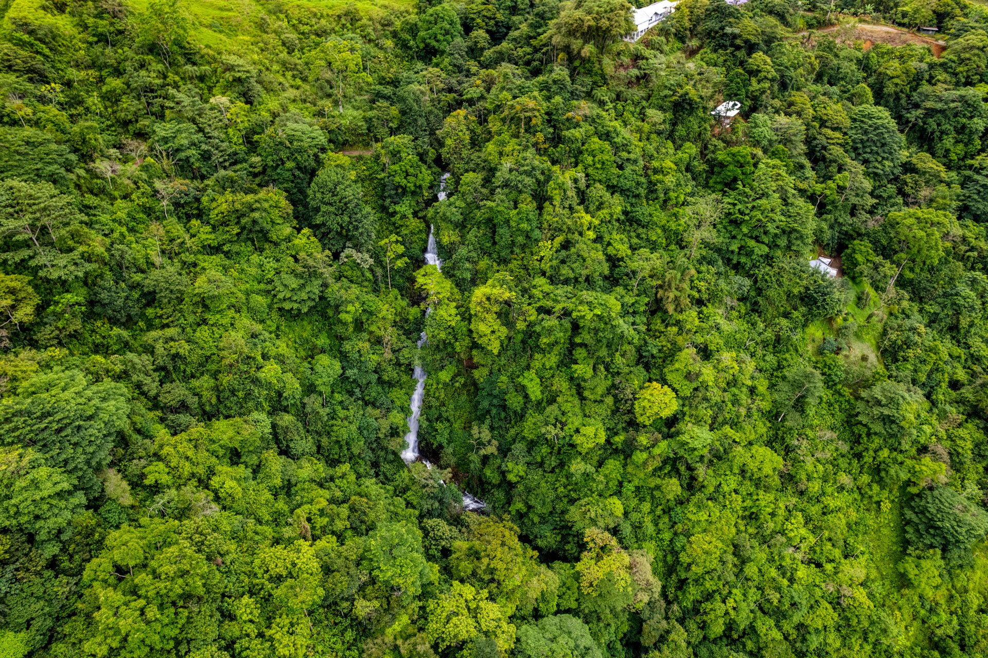 Once in a Lifetime Waterfall Farm in a Pristine Biological Corridor