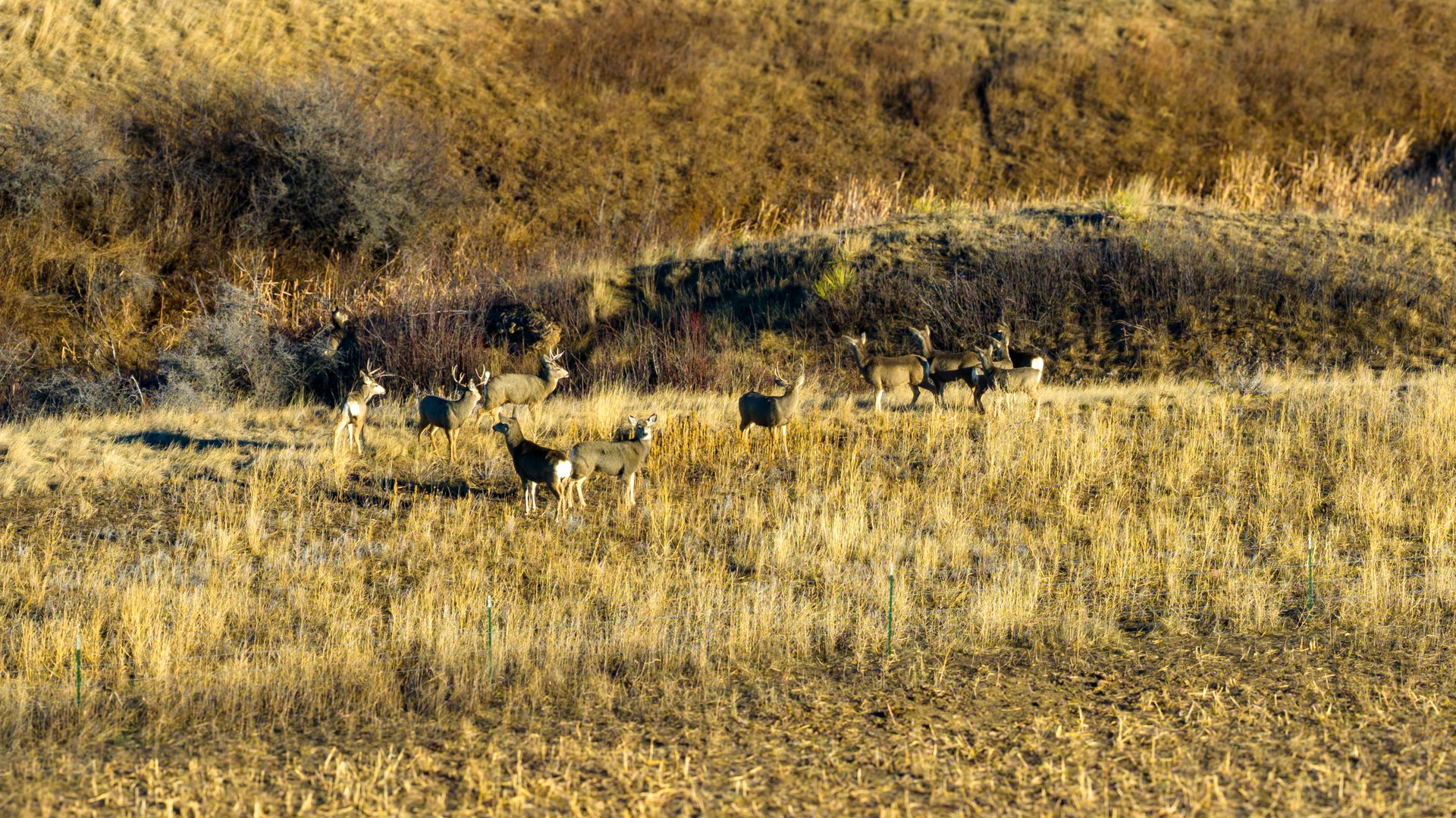 Prairie Rise Ranch