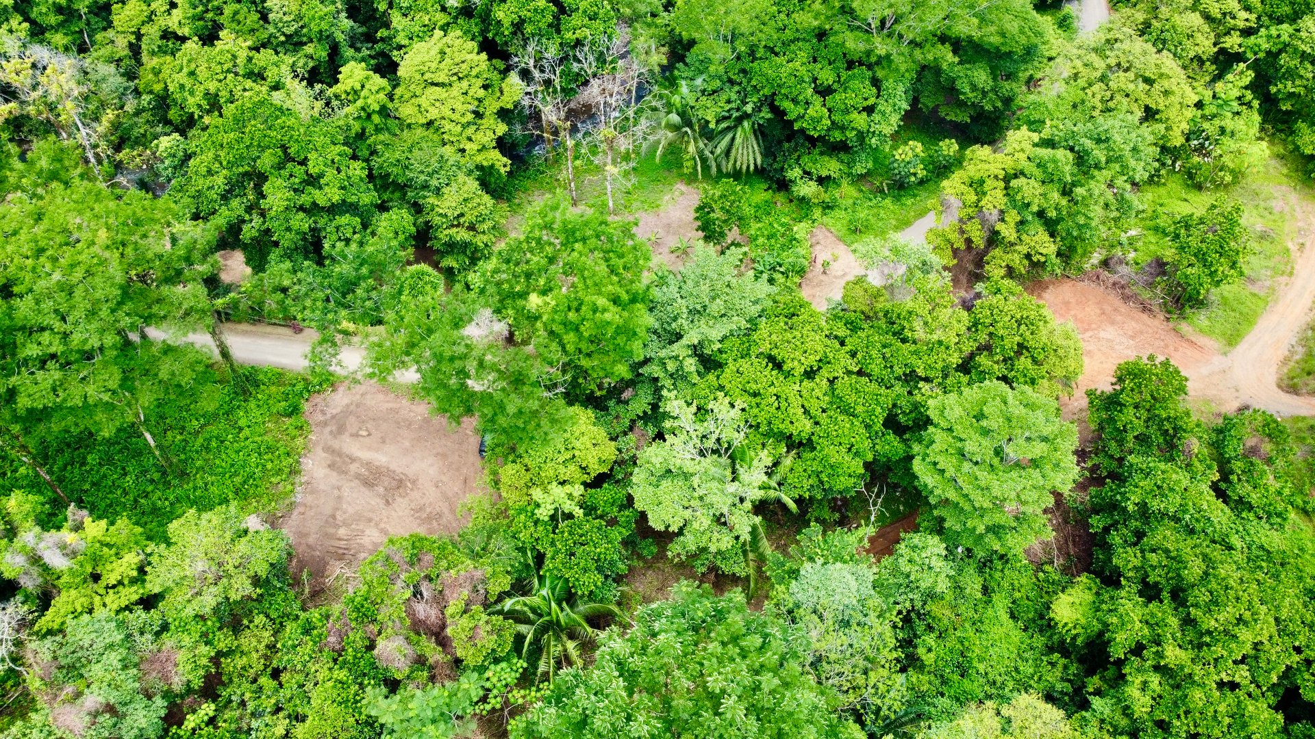 Ready-to-Build Land in San Antonio de Damas: 2,6-Acre with Terraces & Road Frontage