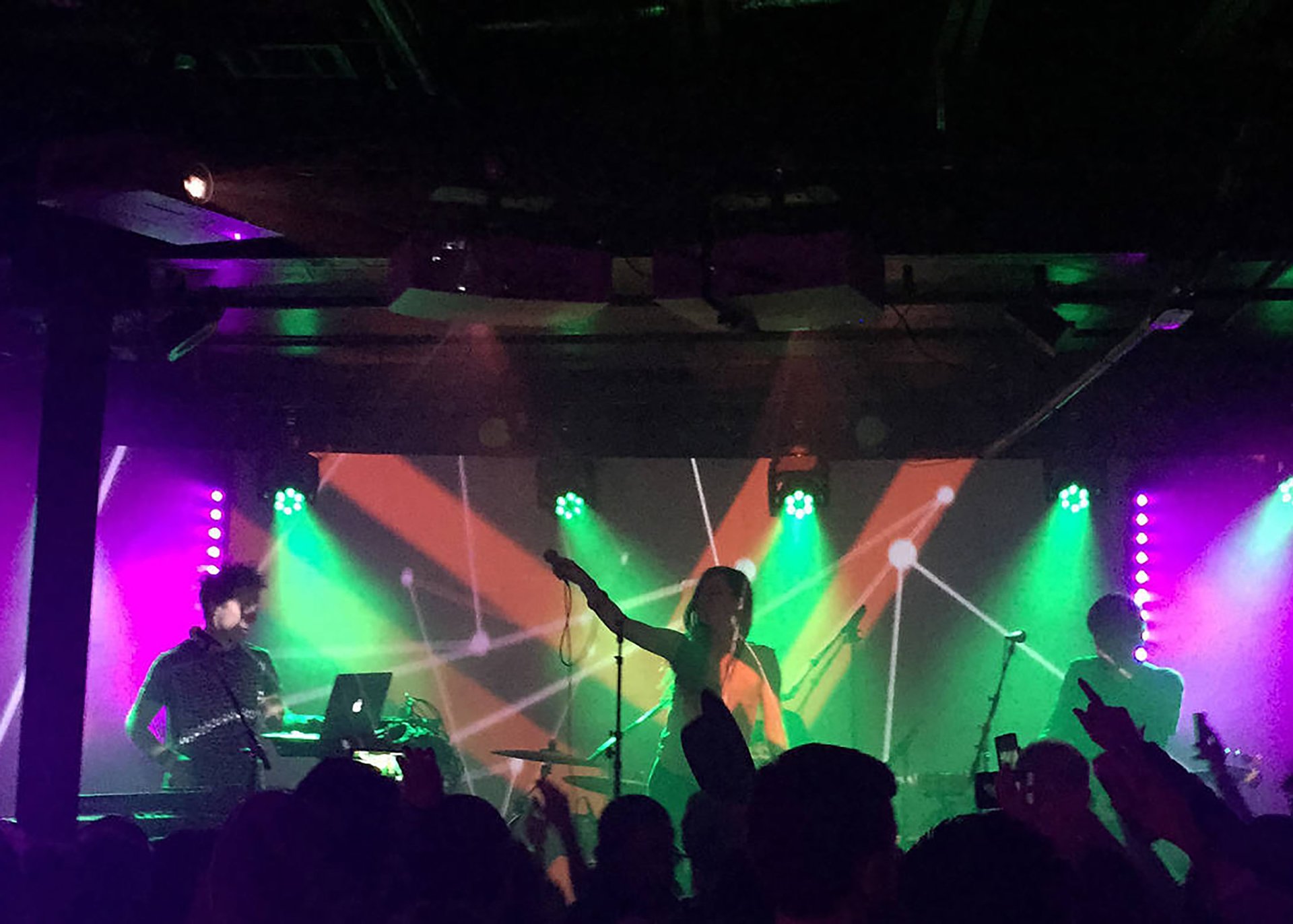 People toasting with wine glasses