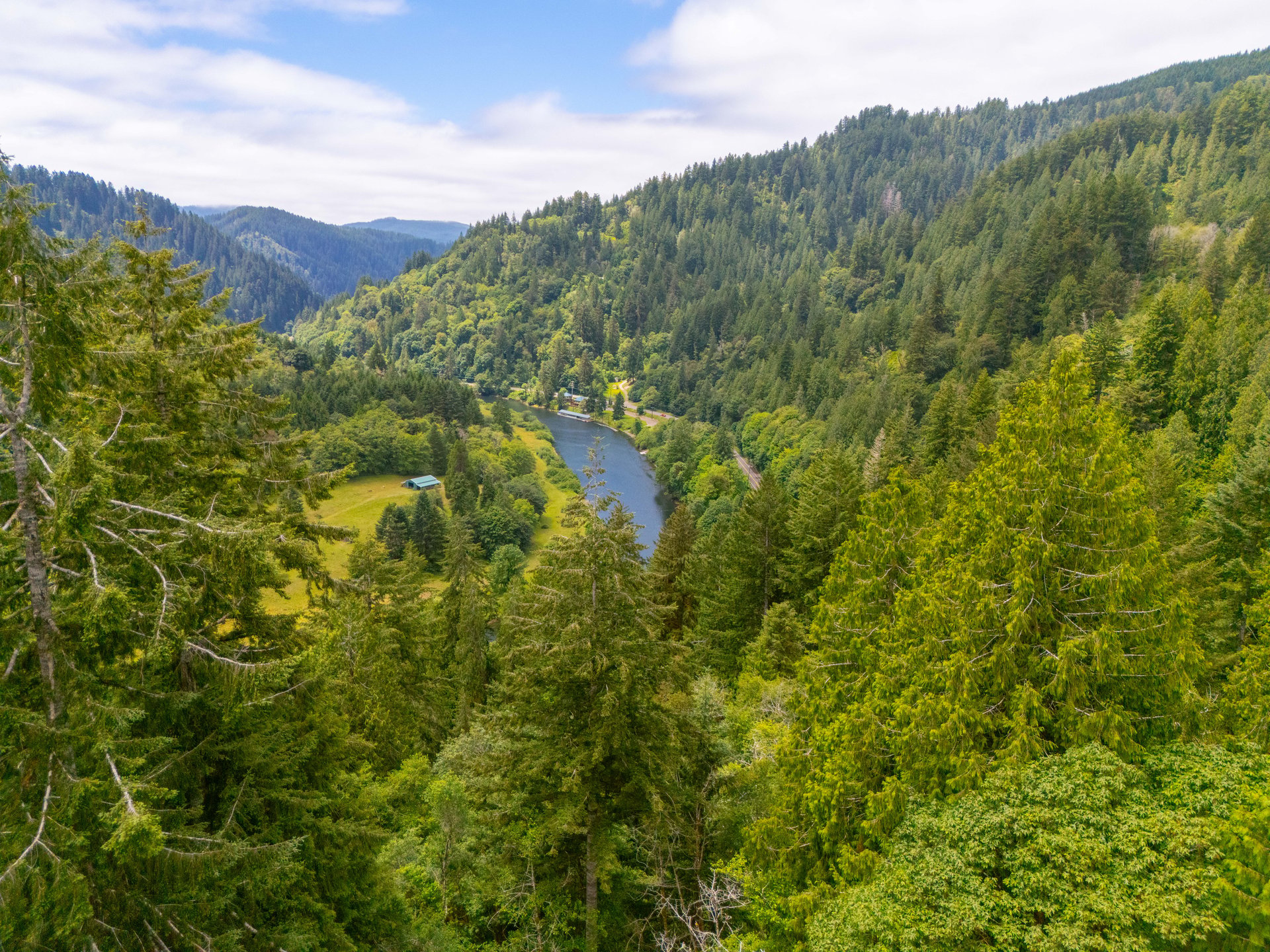 MILL CREEK FOREST